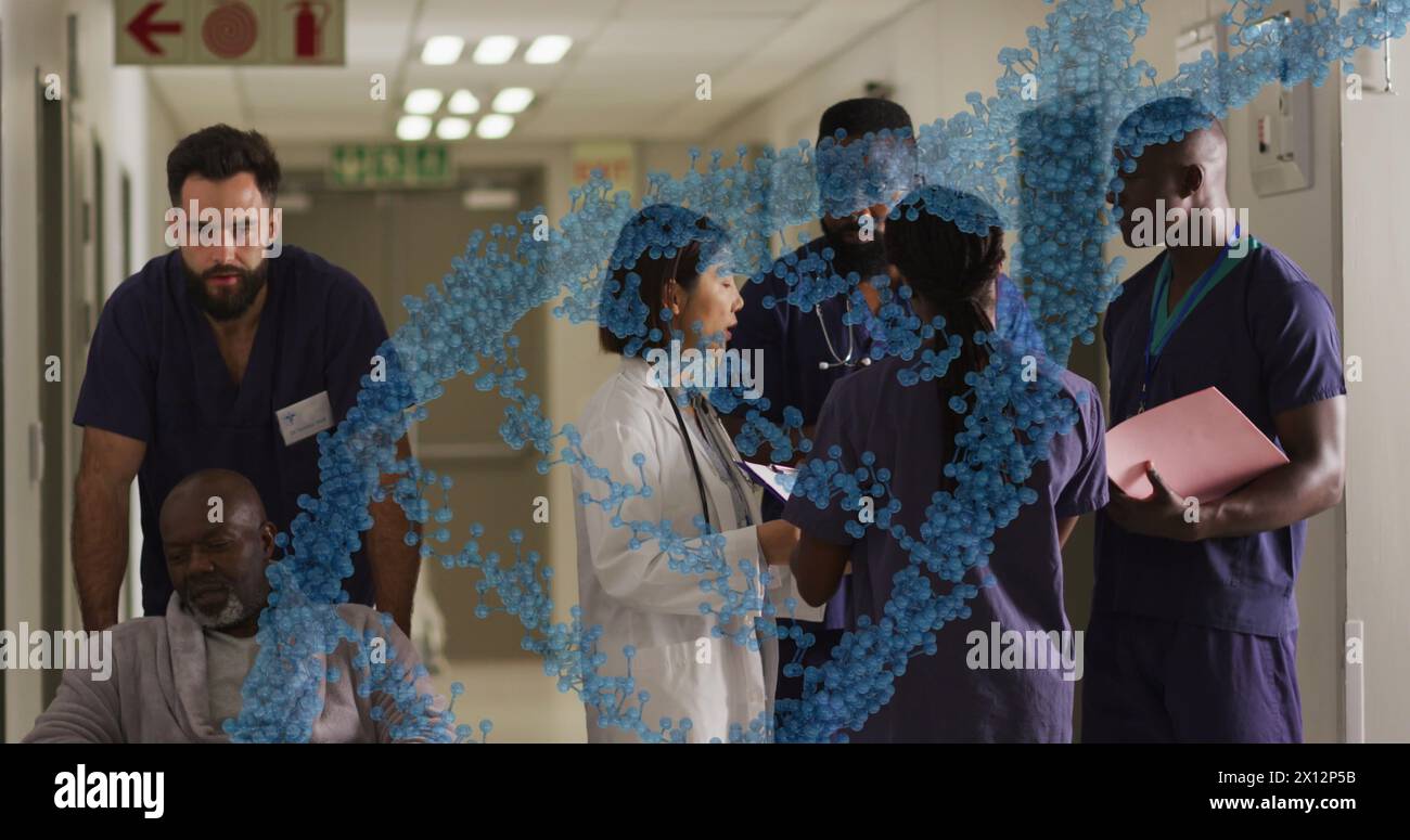 Image du brin adn sur divers médecins hospitaliers. Médecine mondiale, soins de santé et concept d'interface numérique image générée numériquement. Banque D'Images