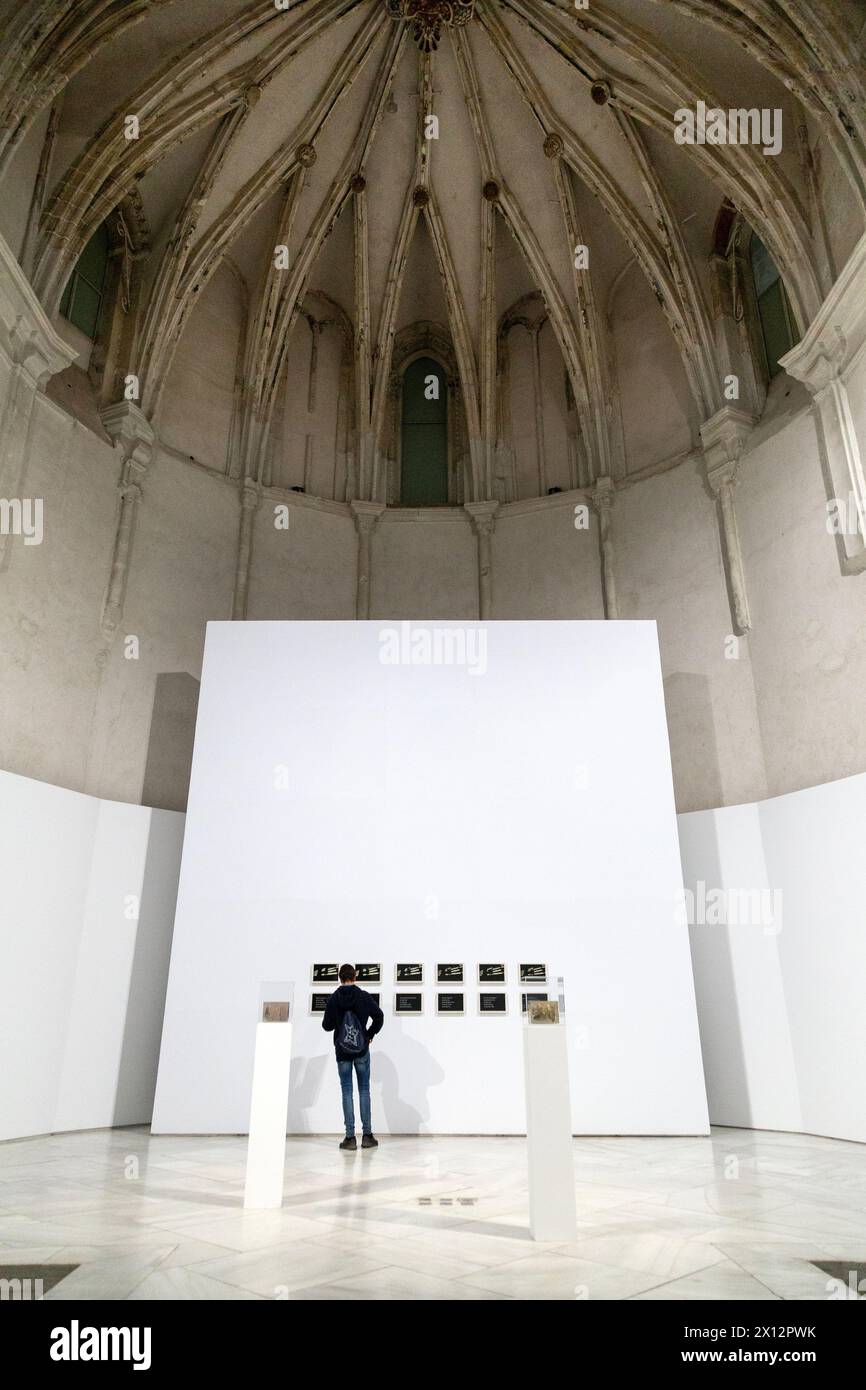 Homme regardant l'exposition à l'intérieur du Musée andalou d'art contemporain, Séville, Espagne Banque D'Images