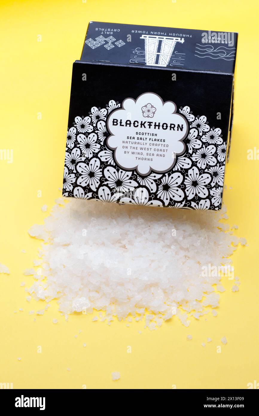 Boîte de 120 grammes de flocons de sel de mer écossais Blackthorn se déversant sur un fond jaune Banque D'Images