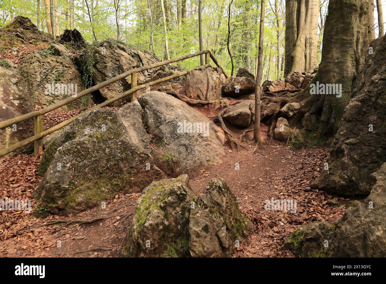 Schöner Frühlingstag im Felsenmeer à Hemer im Sauerland Banque D'Images