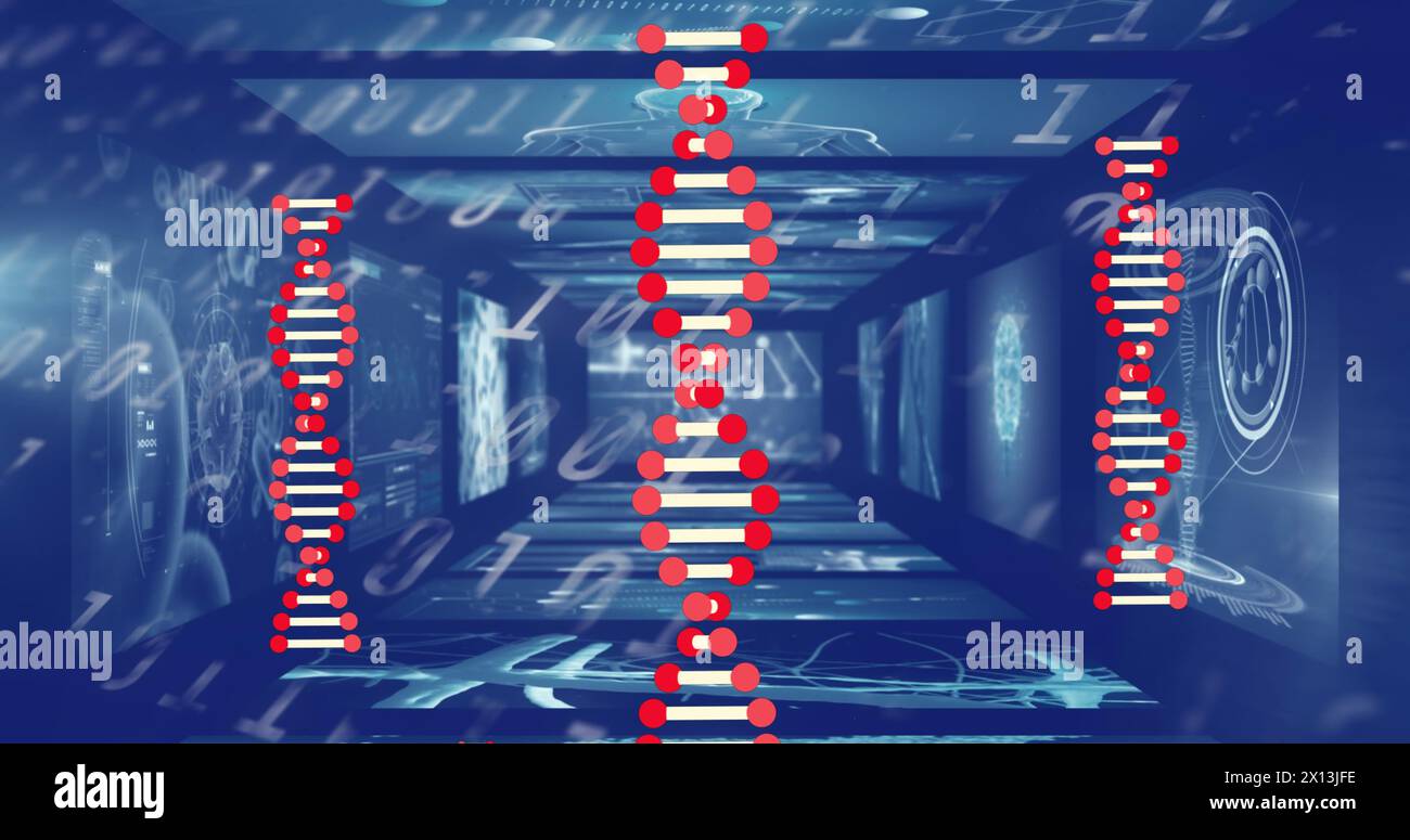 Structure de l'ADN tournant sur des écrans dans le traitement de données médicales contre codage binaire Banque D'Images