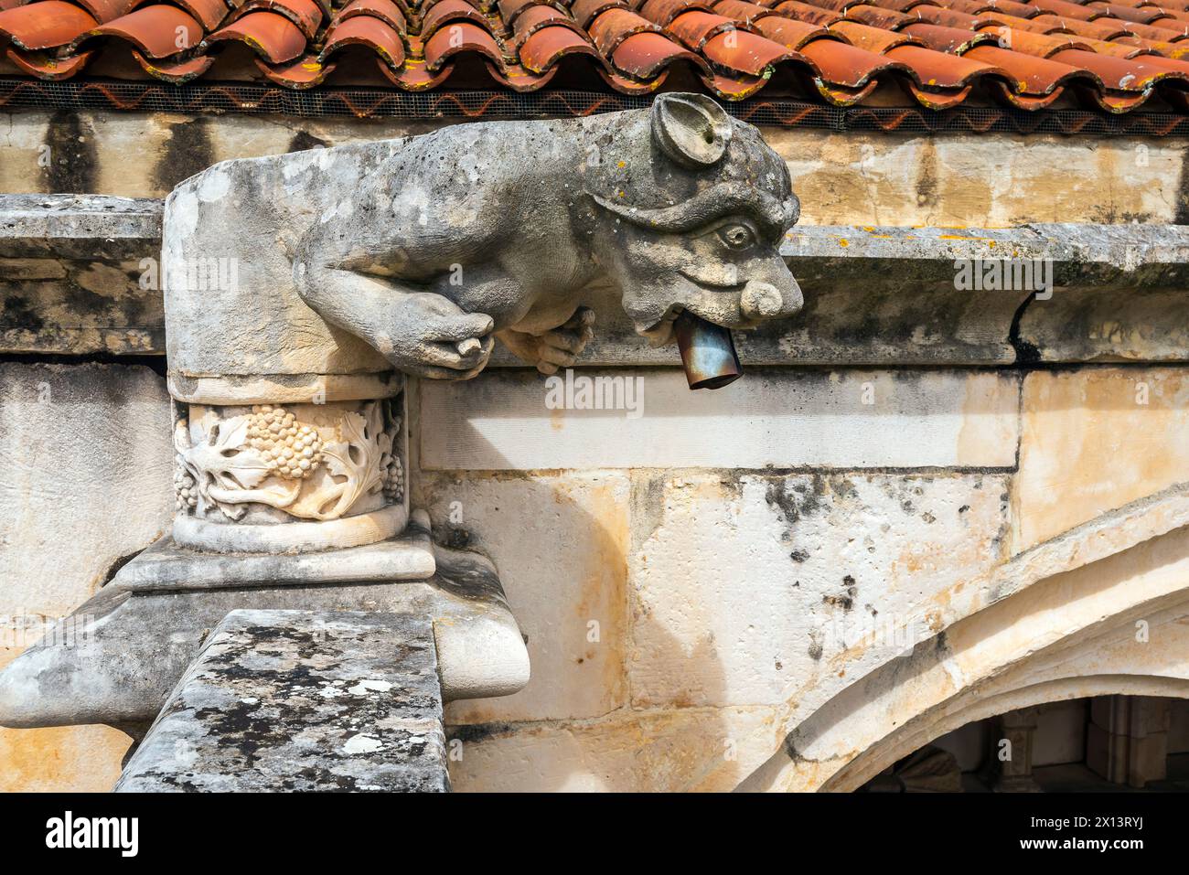 Sculpture grotesque de bec d'eau de gargouille du cloître du silence. Le monastère d'Alcobaça (Mosteiro de Alcobaça) ou monastère d'Alcobasa est un Cath Banque D'Images