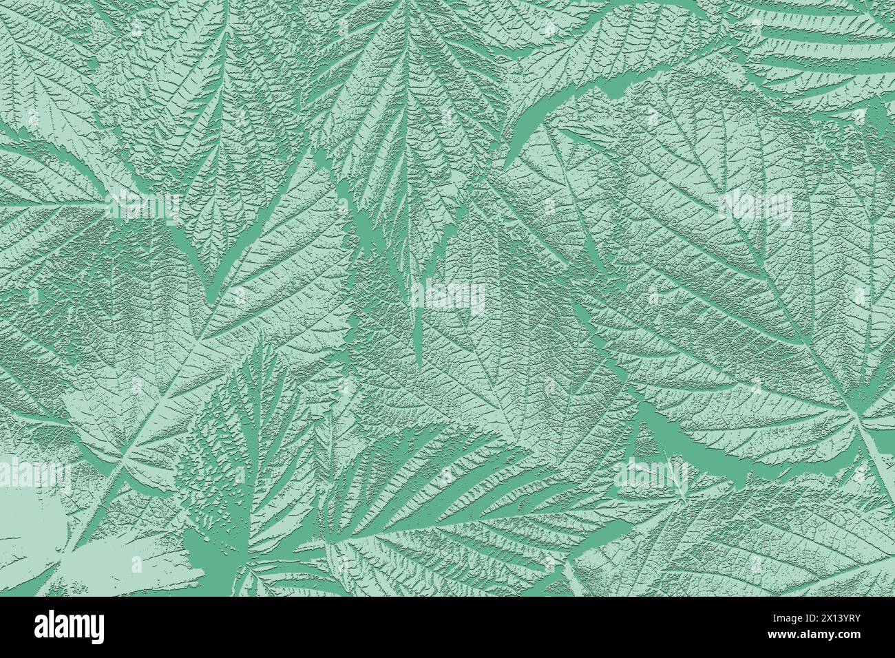 Motif de feuilles vertes. Vue en gros plan Flat Layout Top. Banque D'Images