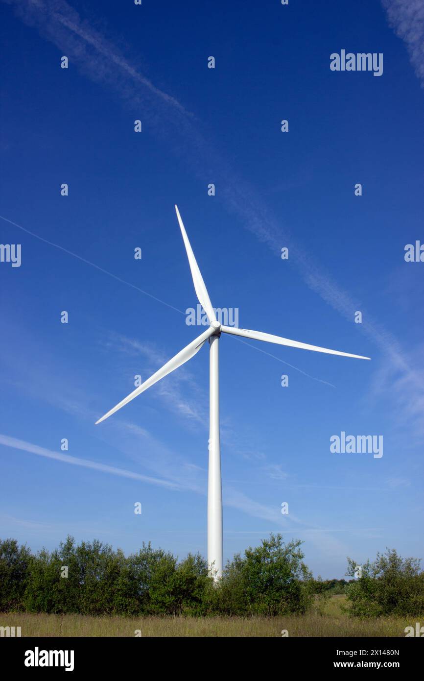 Éolienne sur fond de ciel bleu, Oakdale, Blackwood, pays de Galles, Royaume-Uni Banque D'Images