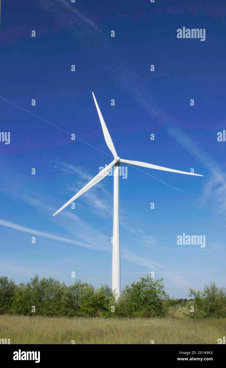 Éolienne sur fond de ciel bleu, Oakdale, Blackwood, pays de Galles, Royaume-Uni Banque D'Images