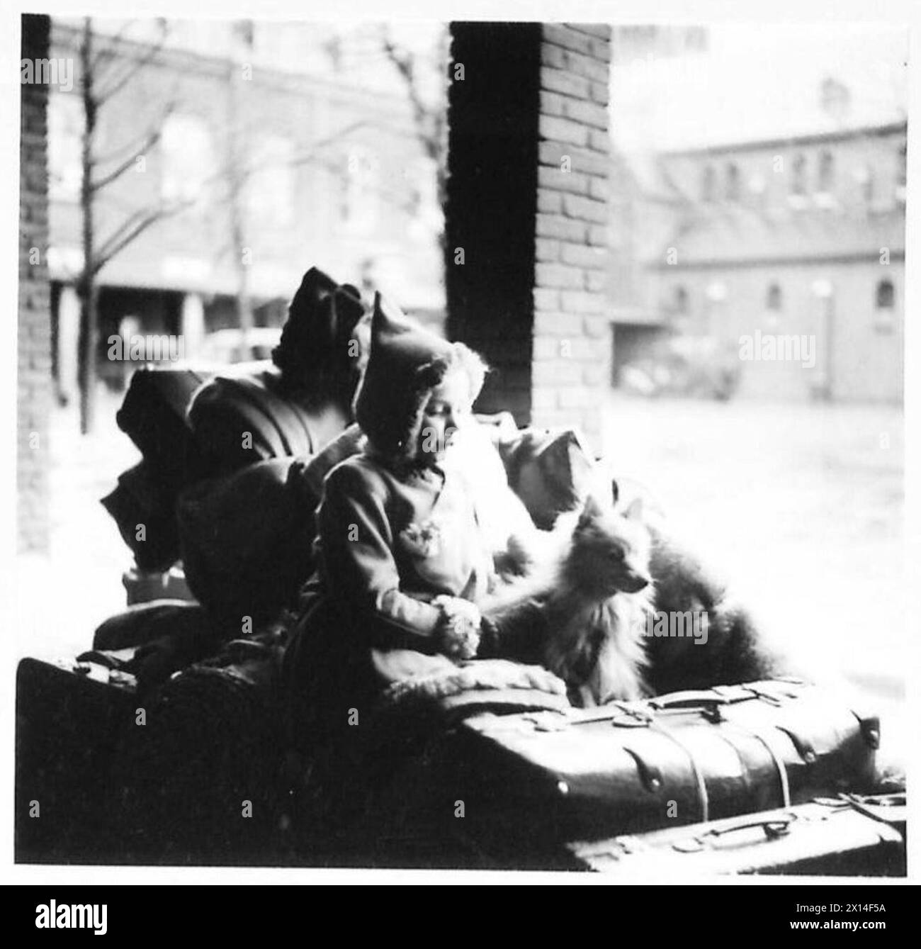 Une jeune fille néerlandaise et son chien attendent d'être évacués de Blerick avec d'autres civils le 8 décembre 1944 à la Mission House of the Holy Ghost à Weerte en raison de l'évacuation de l'armée britannique lors d'un bombardement ennemi. Banque D'Images