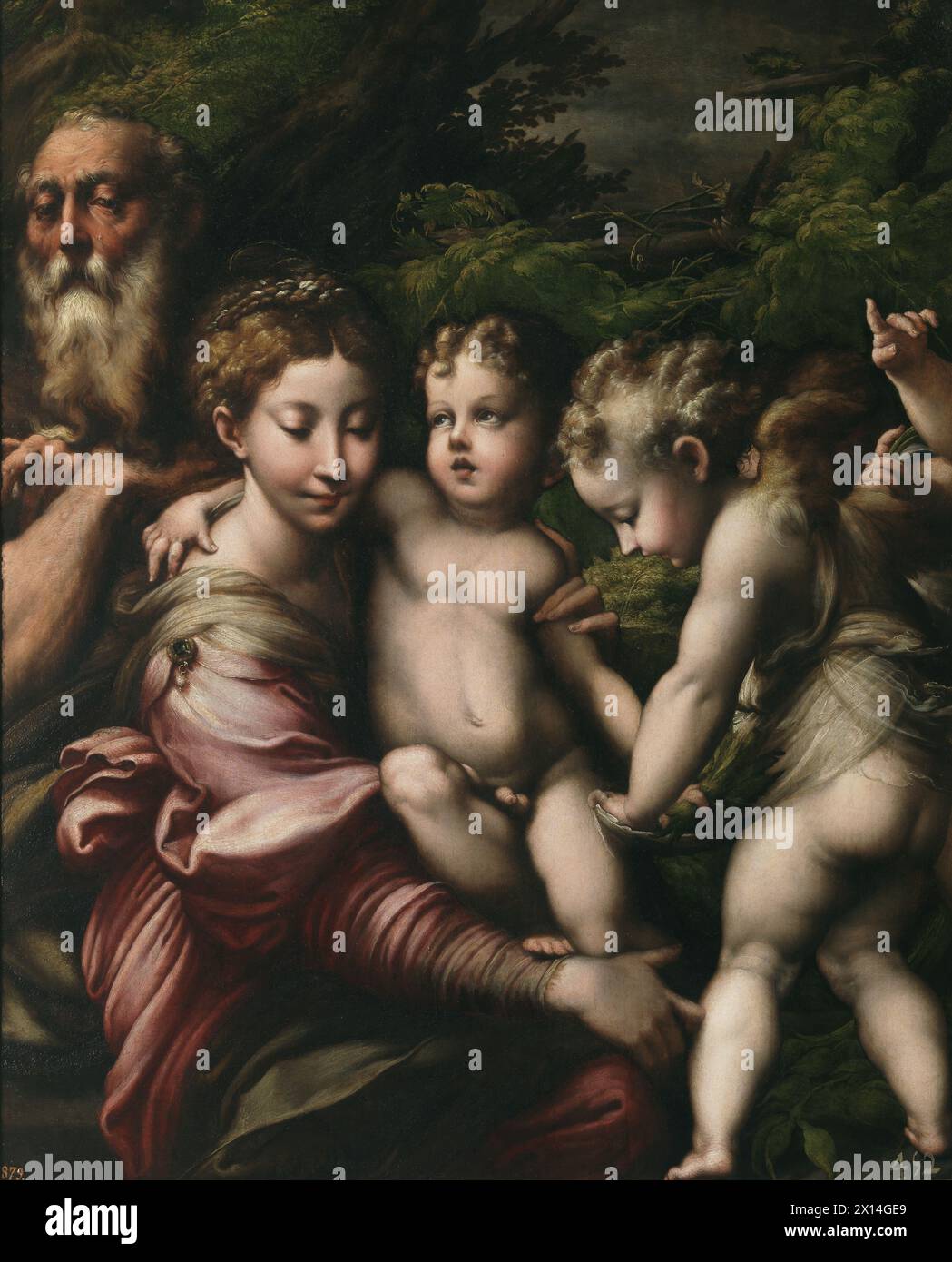 La Sainte famille avec les anges est une peinture à l'huile sur panneau de c. 1524 par Parmigianino dans le Museo del Prado à Madrid. Banque D'Images