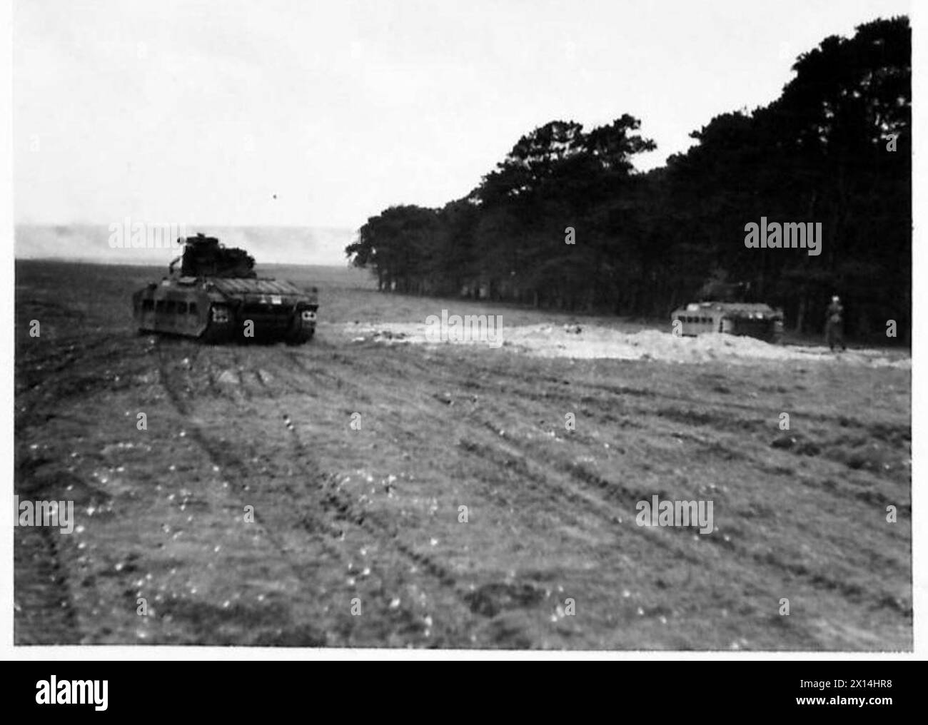 Les chars d'infanterie déployés par le Commandement de l'est se déplacent de positions dissimulées vers un terrain dégagé pendant un exercice, démontrant la mobilité et la tactique blindées. Banque D'Images