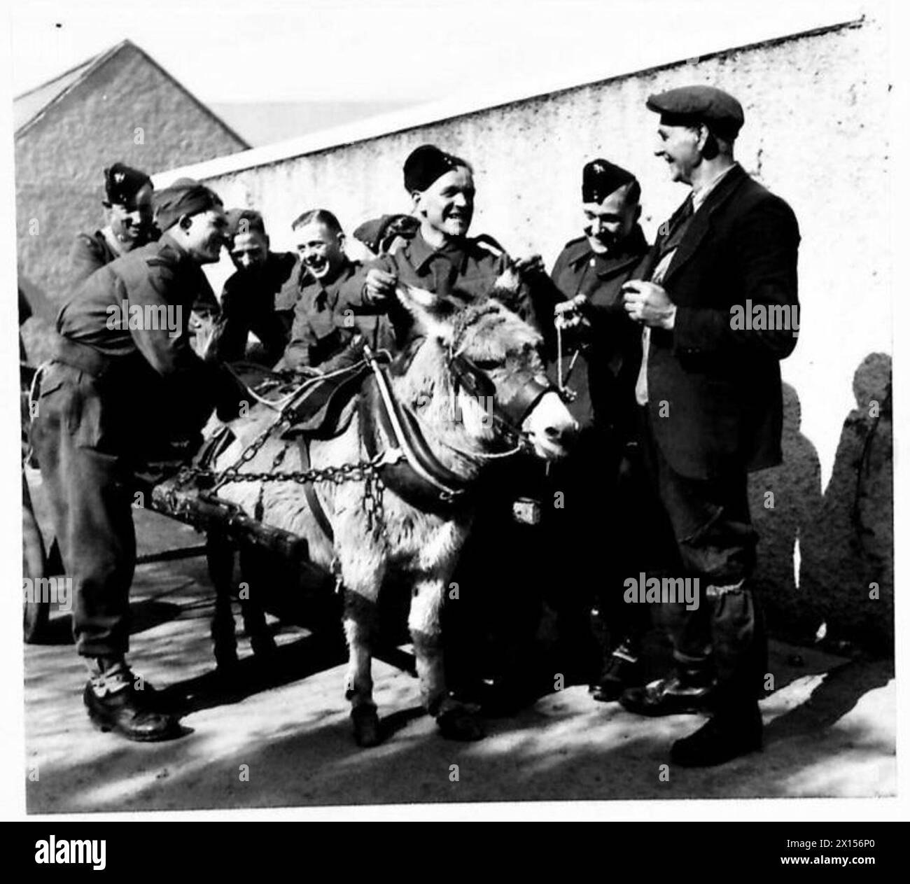 EN IRLANDE DU NORD - certaines des troupes aiment une blague avec le propriétaire local d'une charrette à âne British Army Banque D'Images