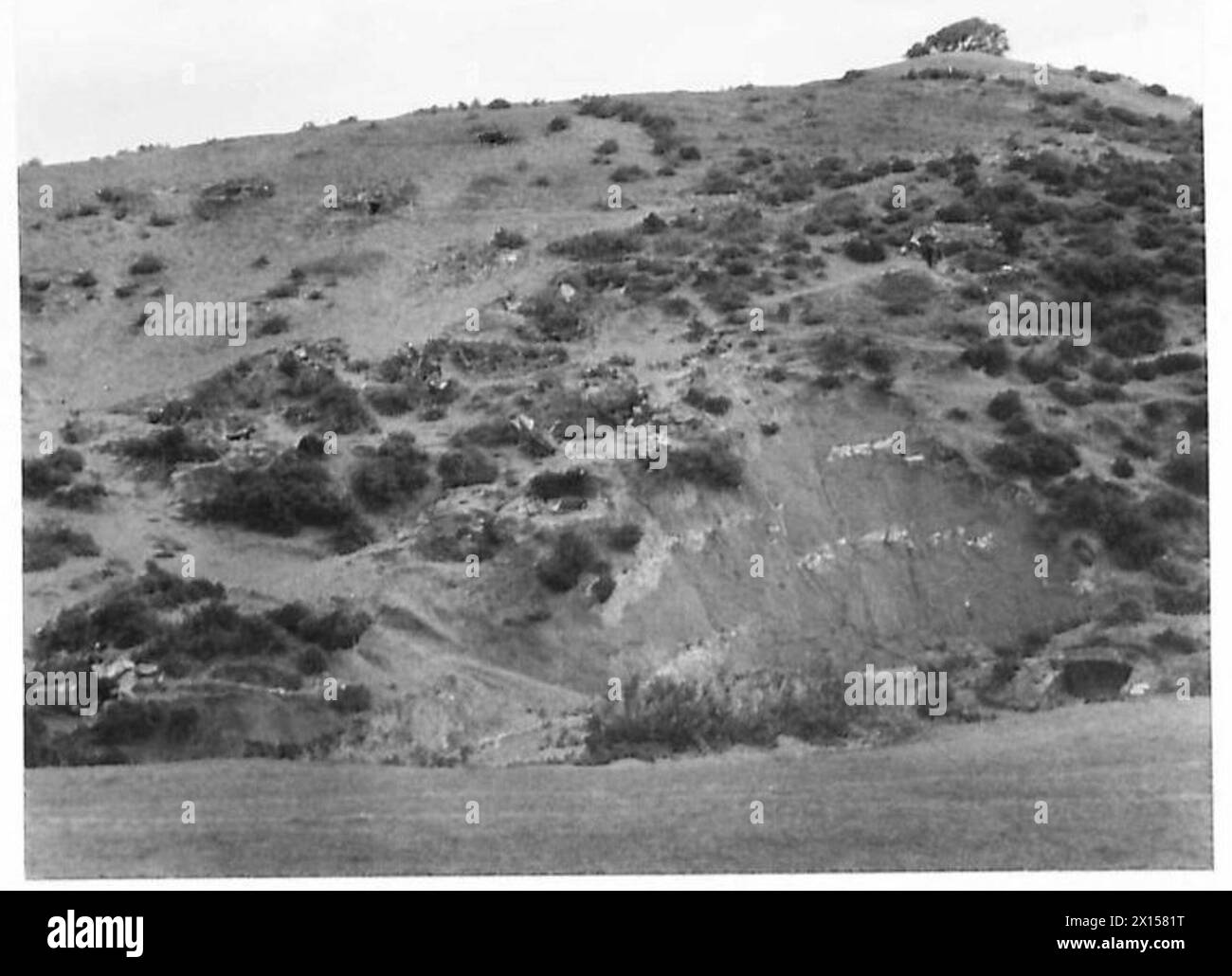 2/5 Les troupes forestières de la première armée occupent des positions d'infanterie avancées sur les pentes arrière de petites collines sur le front de Sedjenane, face à DJ Azzag, également connu sous le nom de Green Hill. Banque D'Images