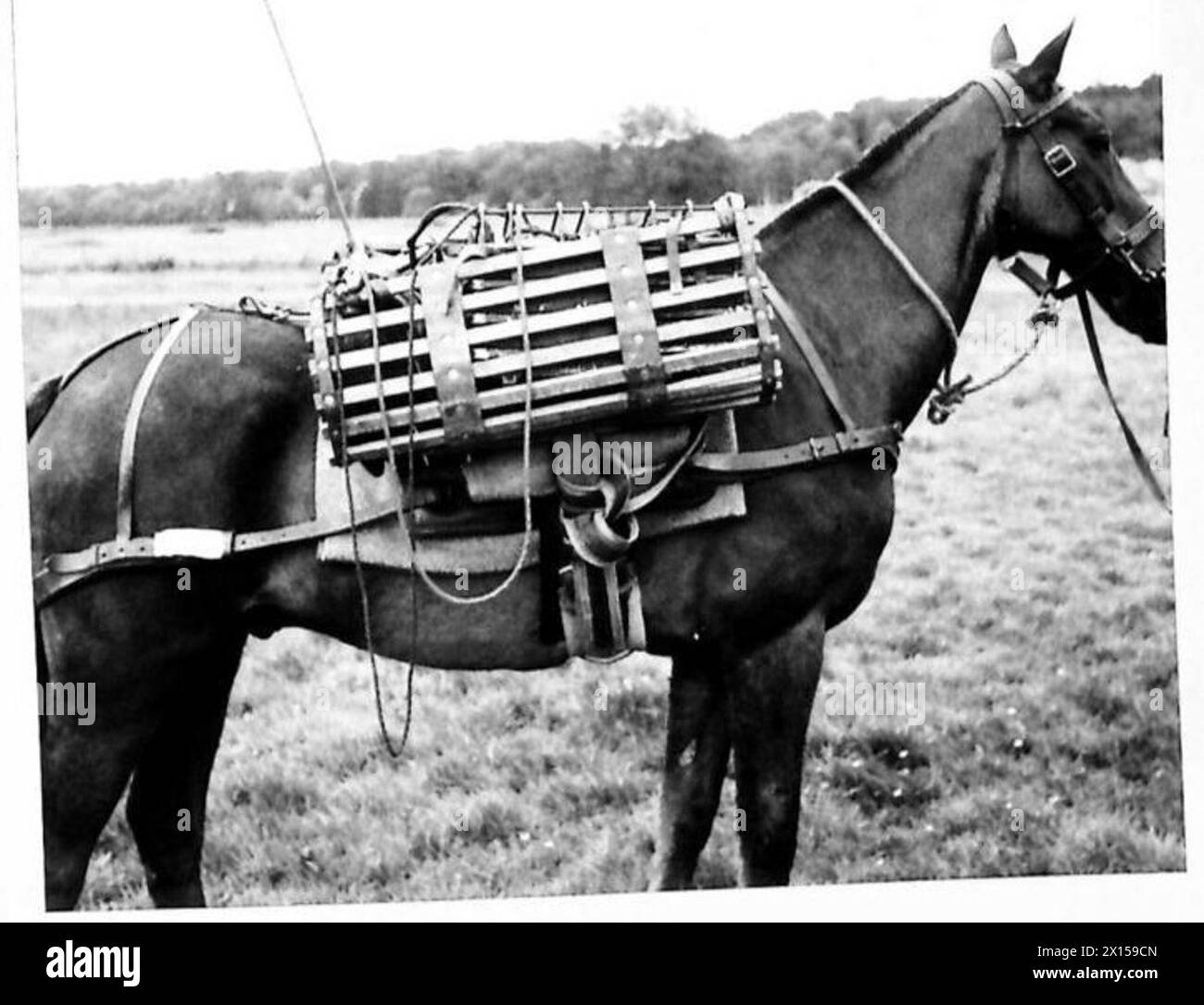 Un set de transport universel 21 Off-Side de l'armée britannique équipé d'un tambour avant d'un tiers de mile et d'un câble arrière utilisé pour les opérations de guerre en montagne. Banque D'Images