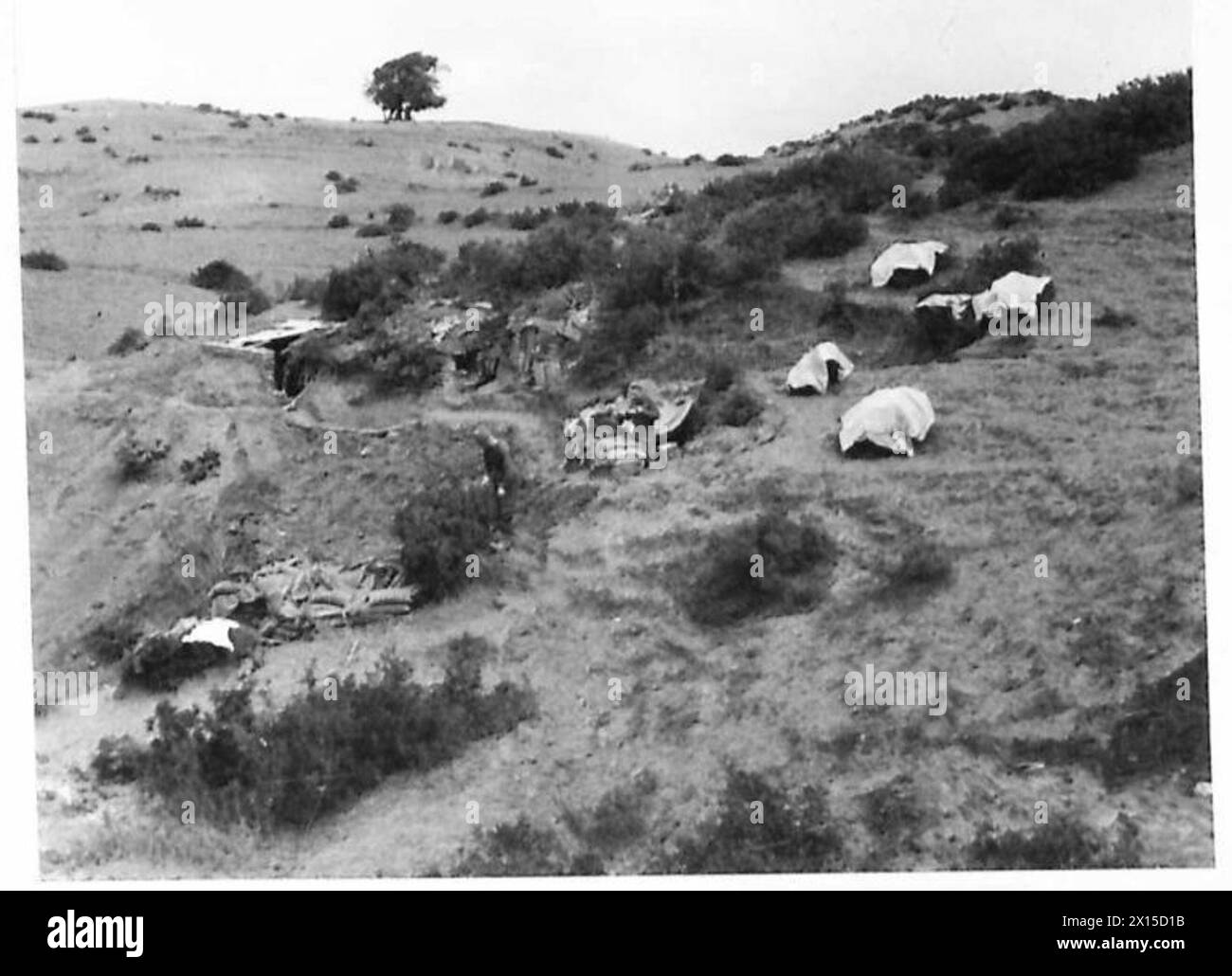 Les troupes de la première armée occupent des positions avancées sur les pentes arrière des petites collines du front de Sedjenane, face à DJ Azzag, également appelé « Green Hill », dans les opérations de l'armée britannique. Banque D'Images