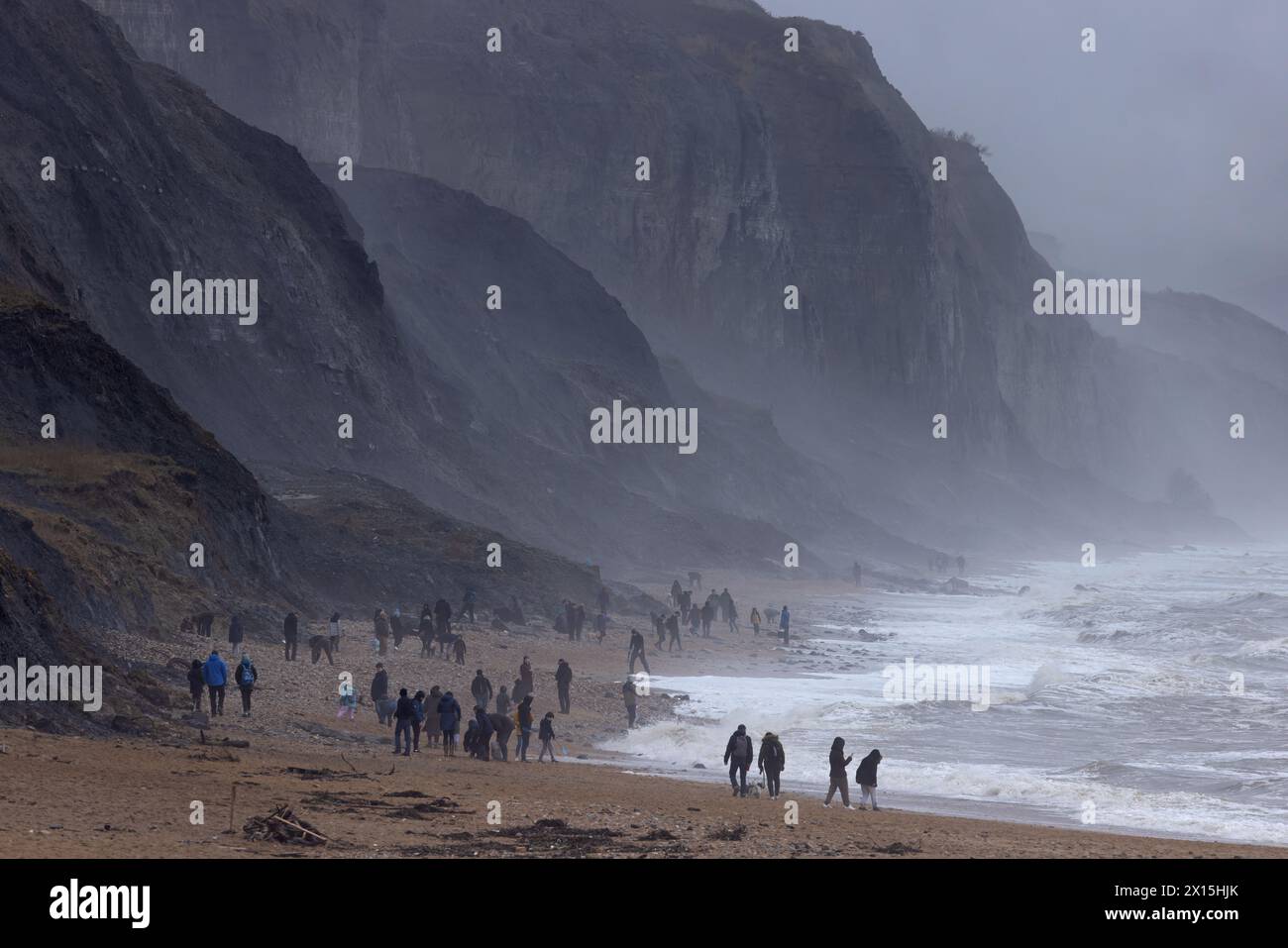 Les chasseurs de fossiles de la côte jurassique chercheurs sur la plage de Charmouth Dorset avril 2024 Banque D'Images