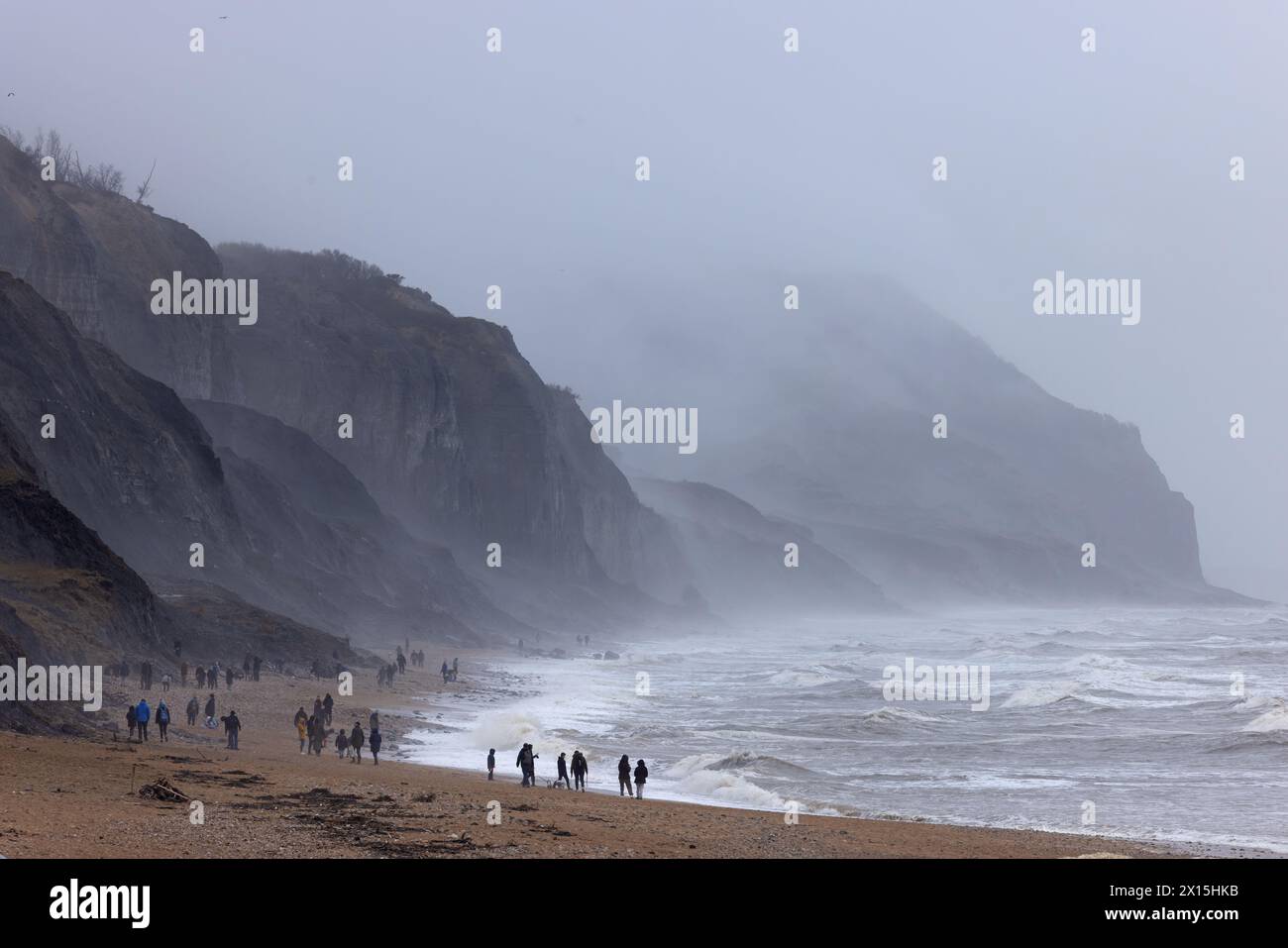 Les chasseurs de fossiles de la côte jurassique chercheurs sur la plage de Charmouth Dorset avril 2024 Banque D'Images