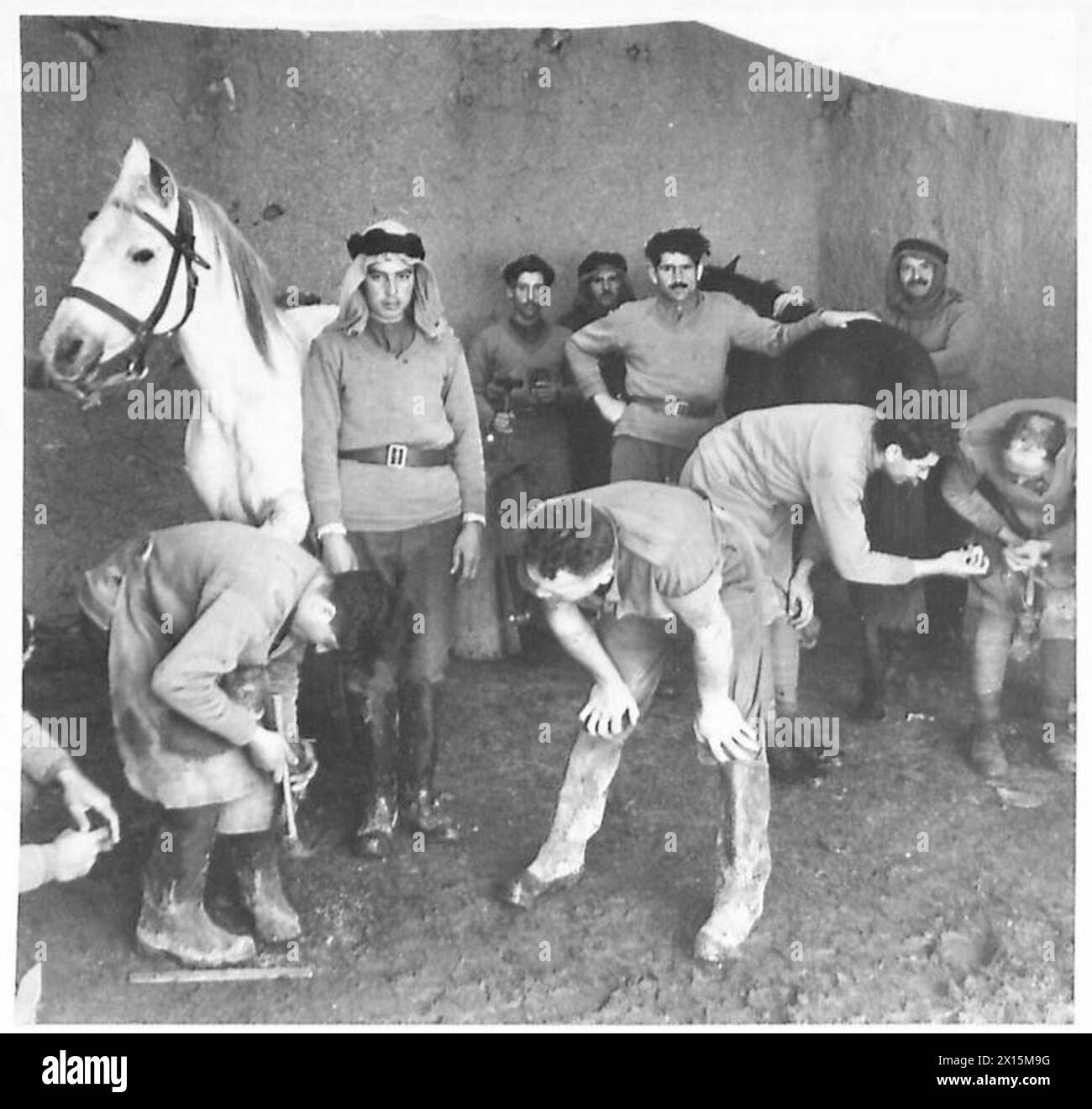 THE DRUSE REGIMENT - les farriers de l'armée britannique enseignent aux Druses de meilleures façons de fixer leurs chevaux Armée britannique Banque D'Images