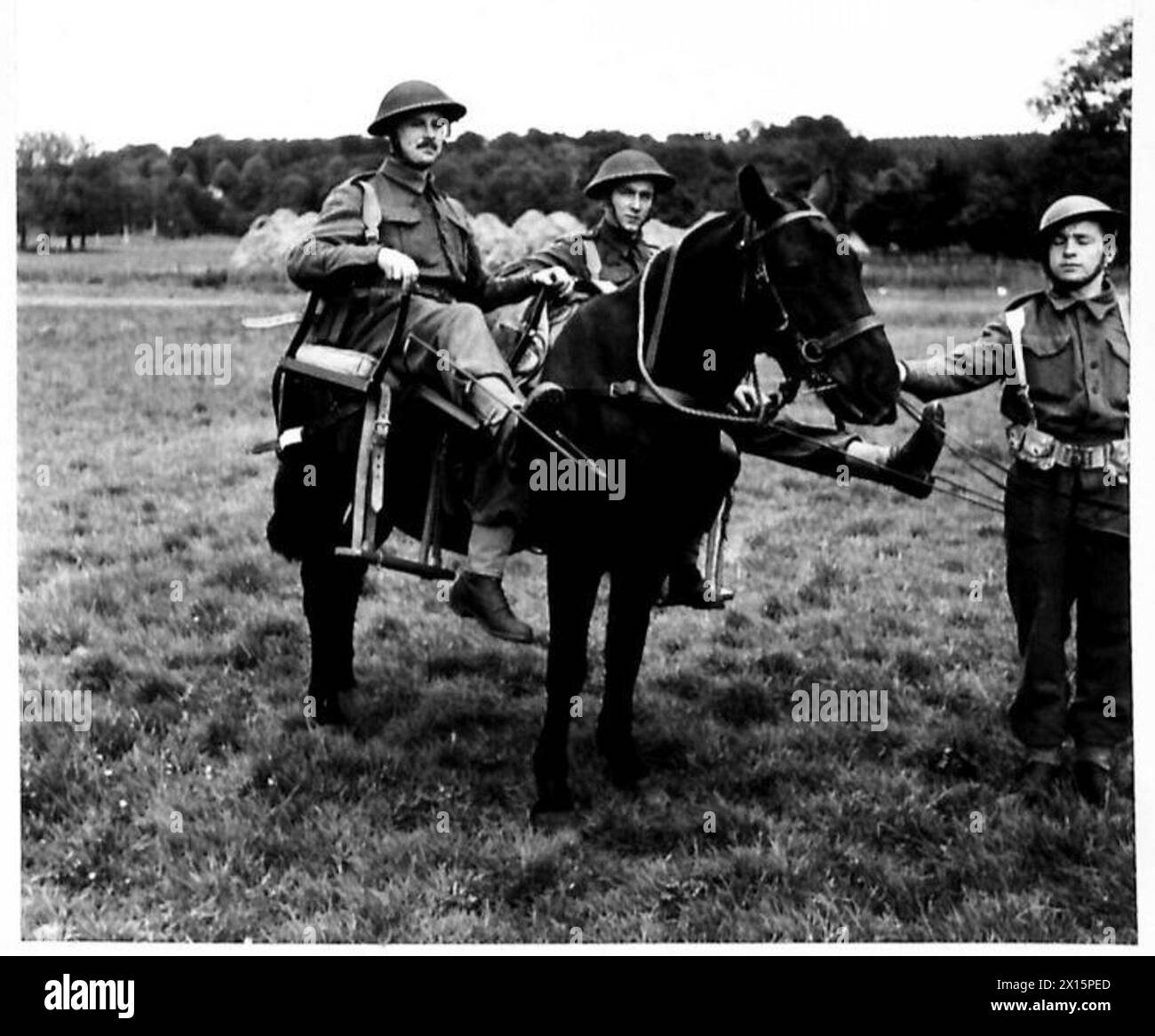 Une paire de Cacolets transportant des patients lors d'opérations de guerre en montagne dans l'armée britannique. Banque D'Images