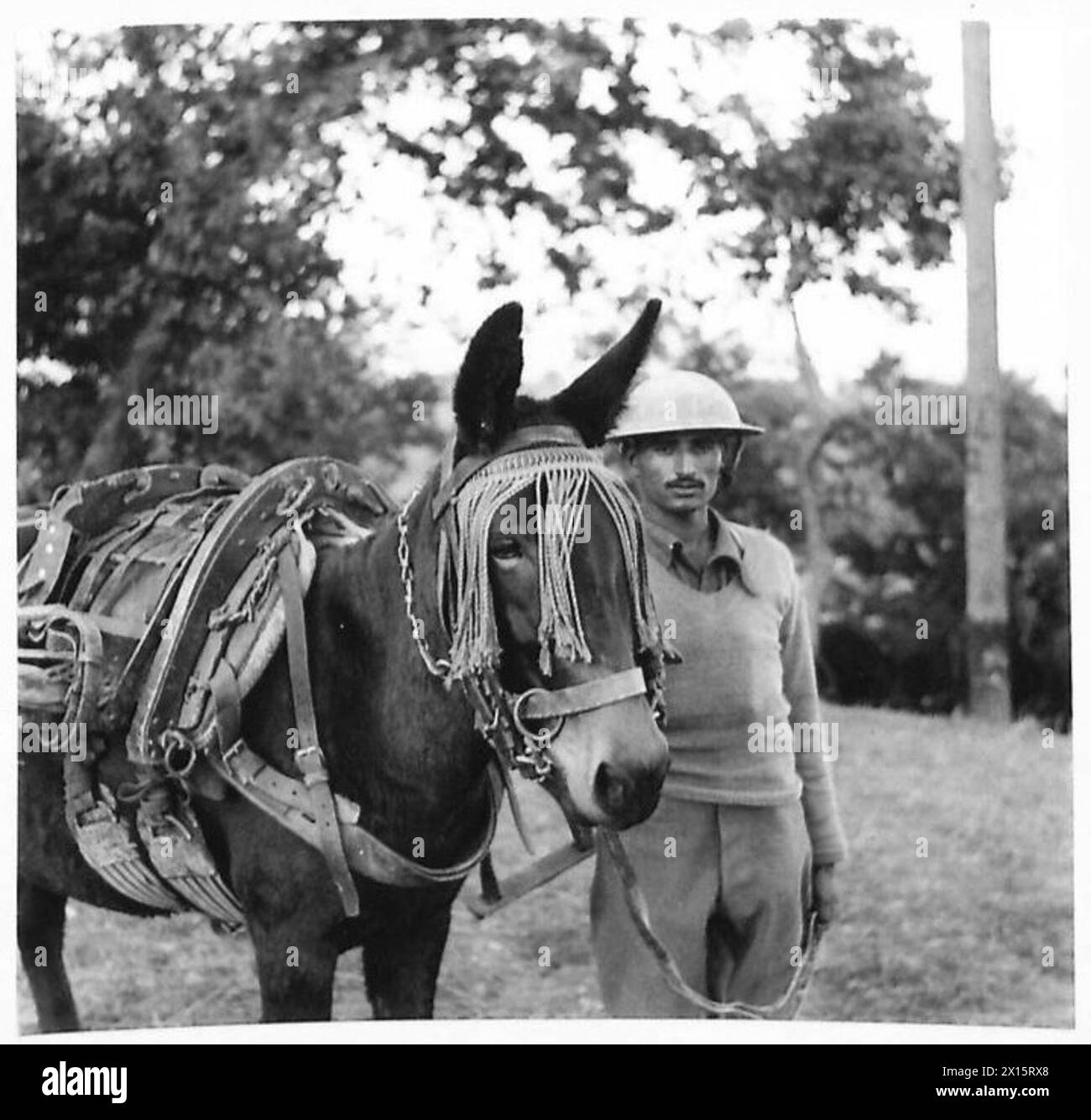 INDIENS EN ITALIE - Naik - un caporal indien - et sa mule de l'armée britannique Banque D'Images