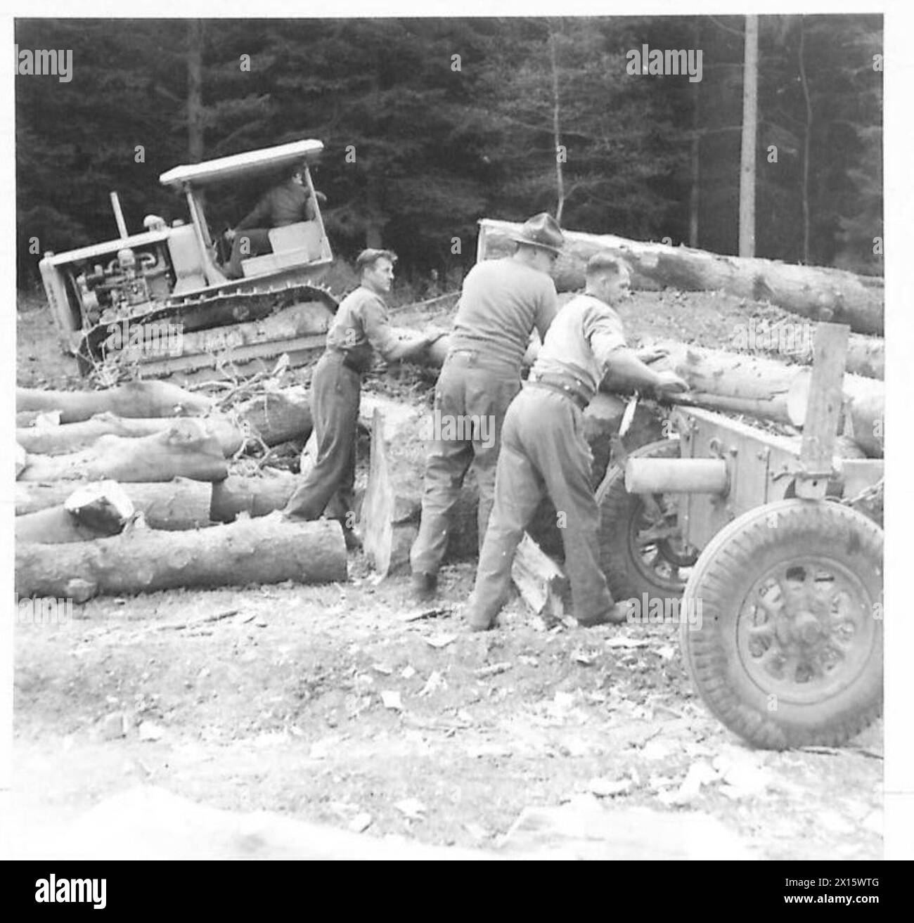 Les bushmen néo-zélandais utilisent un « débardeur » pour charger le bois sur des patins pour le transporter vers une scierie pendant les travaux forestiers de l'armée britannique Banque D'Images