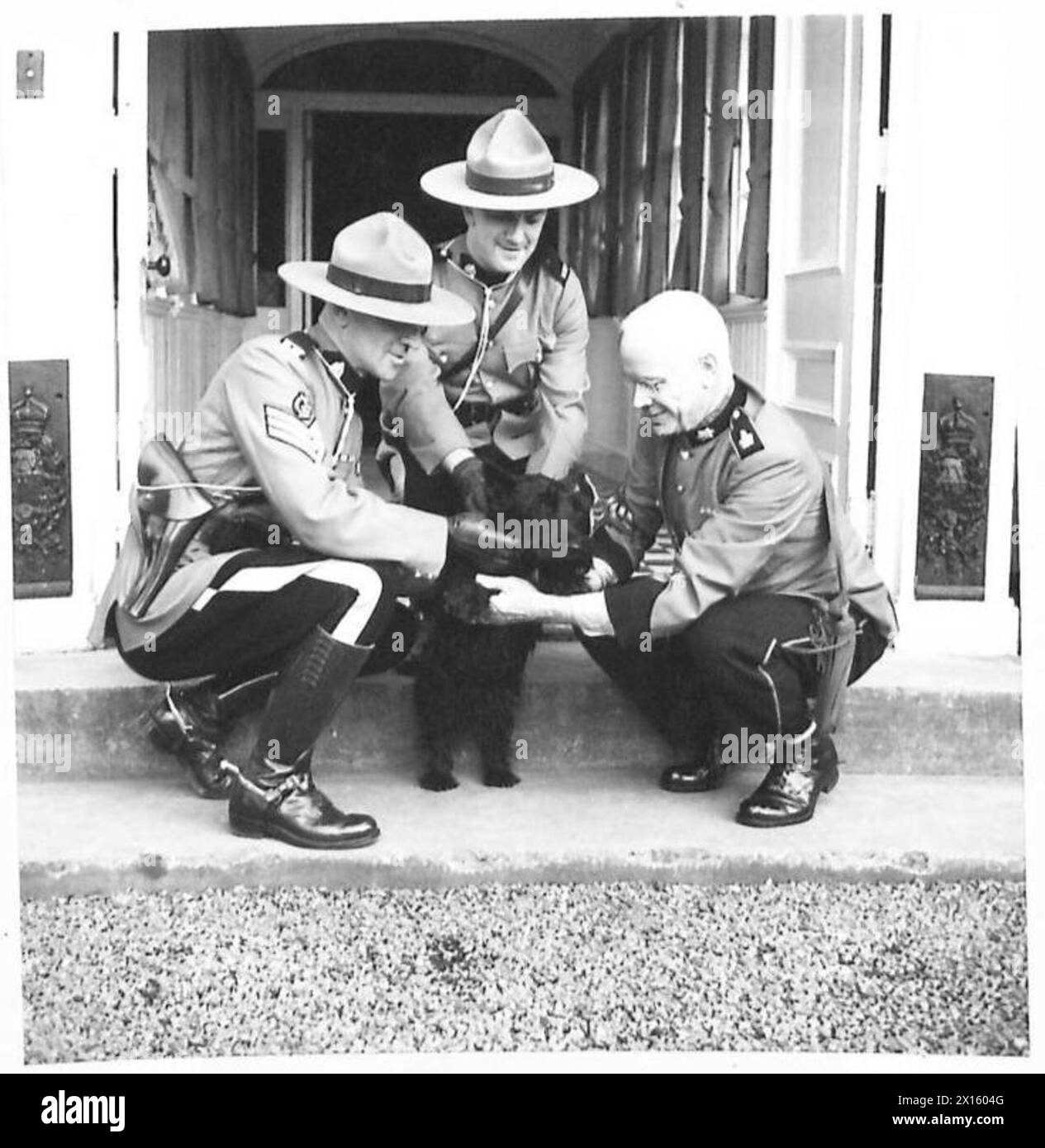 LE CHIEN du PRÉSIDENT ROOSEVELT POSE POUR LA CAMÉRA - la GRC canadienne se lie d'amitié avec le chien du président Roosevelt, Falla, British Army Banque D'Images