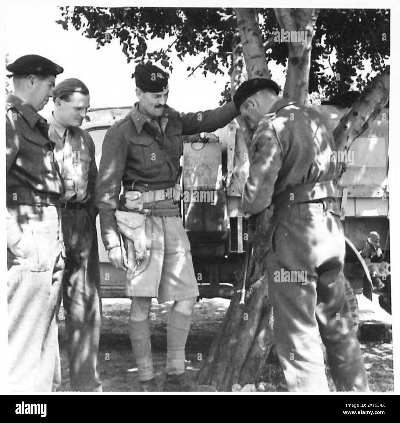 Le colonel J.A. Barlow, expert en armes légères du GHQ moyen-Orient, inspecte un fusil Tommy dans une oliveraie près de Medjez-el-Bab tout en conseillant la première armée sur la gestion des armes légères. Banque D'Images