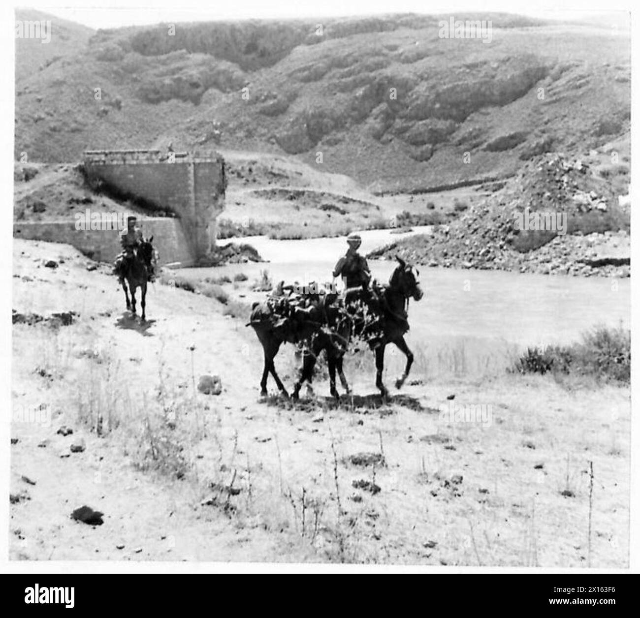 Un soldat du Cheshire Yeomanry, un régiment de cavalerie, participe à l'avance britannique en Syrie, accompagné d'une mule de meute. Banque D'Images