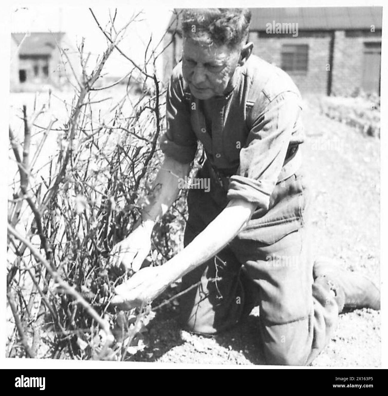 Un soldat à la retraite travaille dans les jardins entretenus par le personnel de l'armée britannique. Banque D'Images