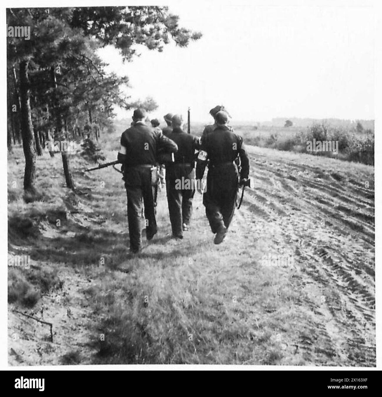 ACTIVITÉS DE LA P.A.N. - hommes de la P.A.N. avec un soldat britannique cherchant les bois à la recherche de tireurs ennemis errants, etc British Army, 21st Army Group Banque D'Images