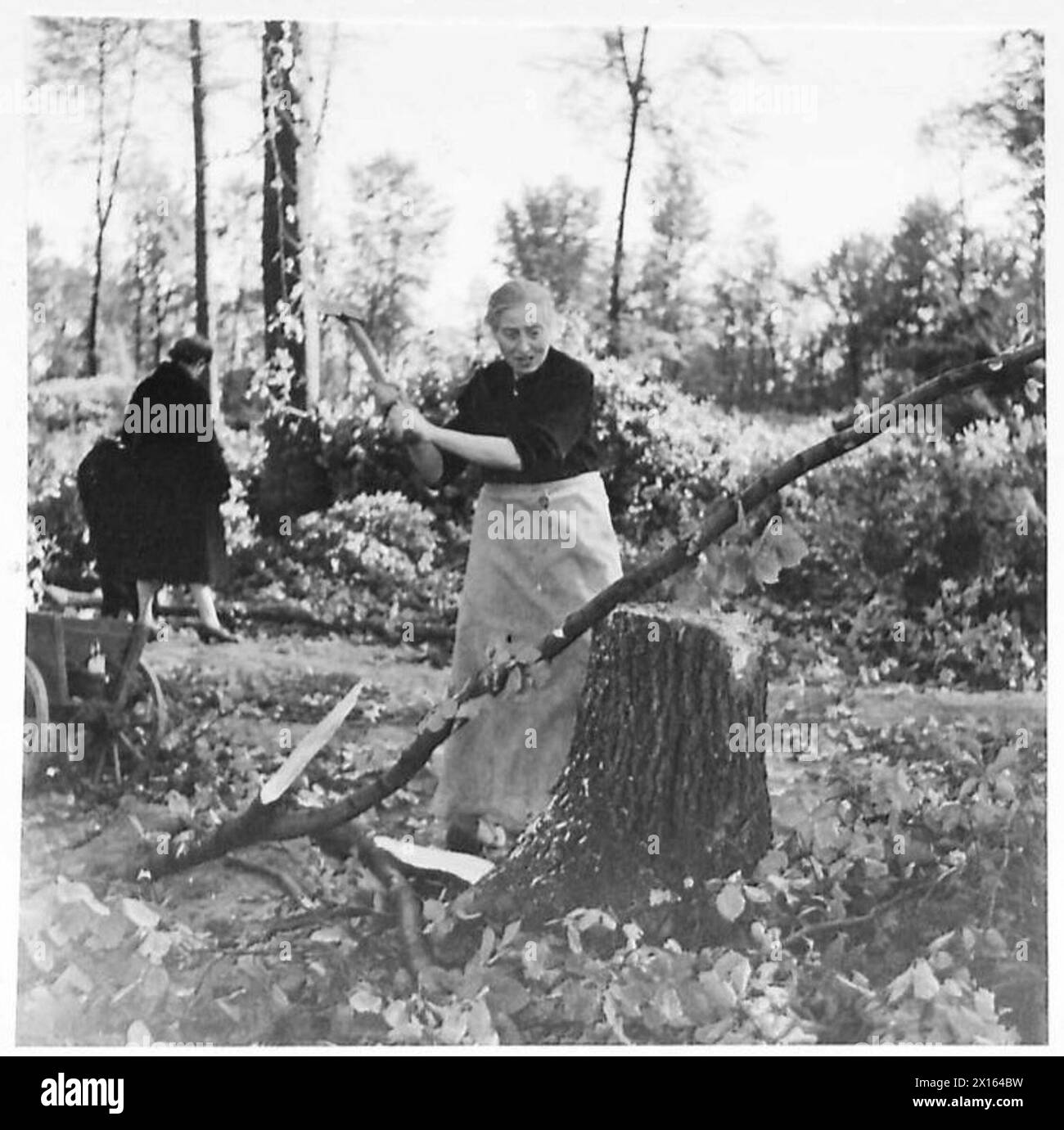 Des civils allemands coupent et ramassent du bois pendant les préparatifs hivernaux sous la supervision de l'armée britannique du Rhin. Banque D'Images
