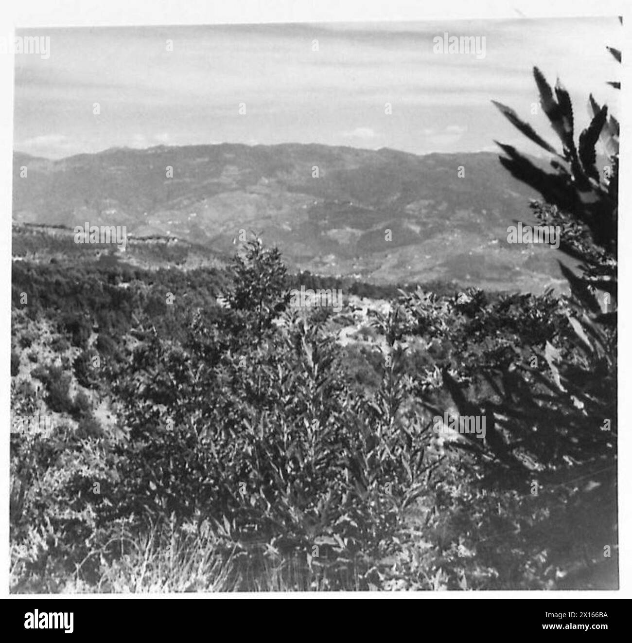 CINQUIÈME ARMÉE : DIVERS - (REJOINDRE) les collines qui forment la ligne gothique, au nord de l'armée britannique de Pistoia Banque D'Images