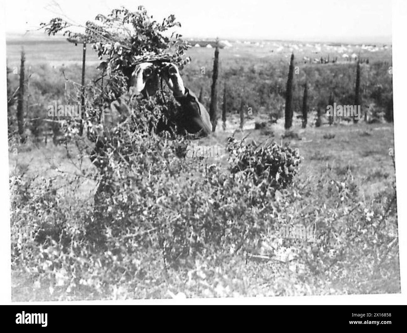 Un poste d'observation bien camouflé avec un observateur est utilisé pendant les exercices d'entraînement de l'armée grecque Banque D'Images