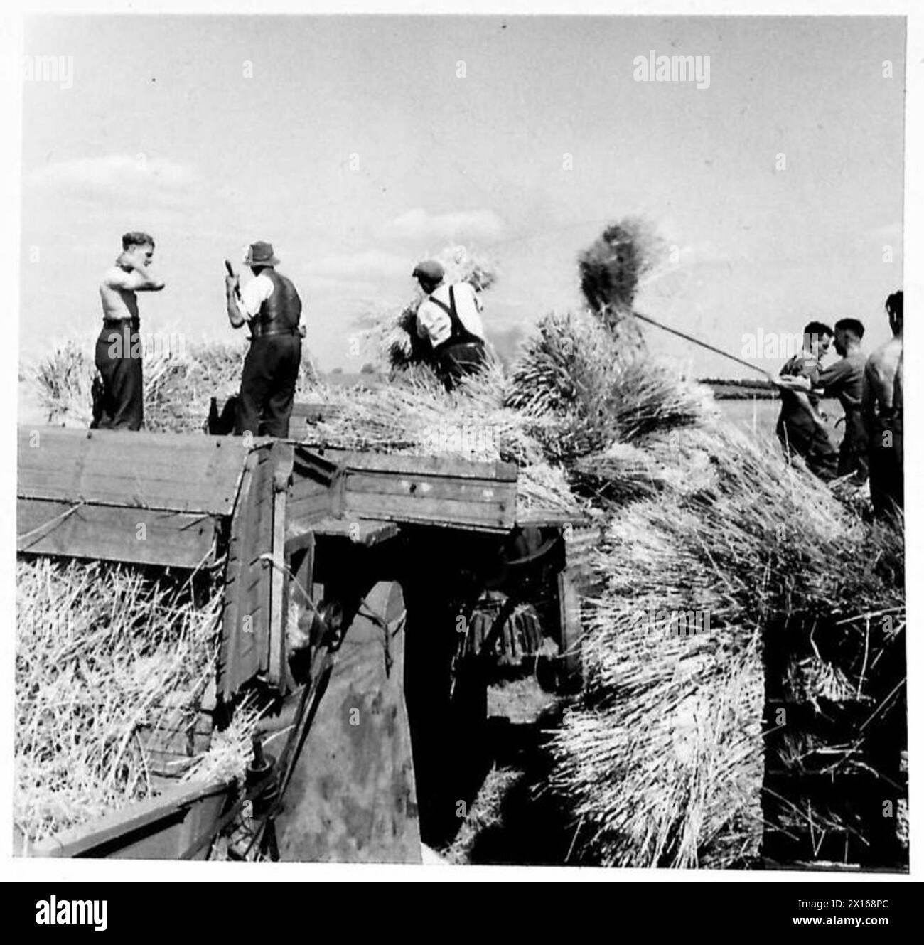 Les troupes aident les agriculteurs en alimentant le maïs ramassé dans une machine de battage pendant les opérations de récolte. Banque D'Images