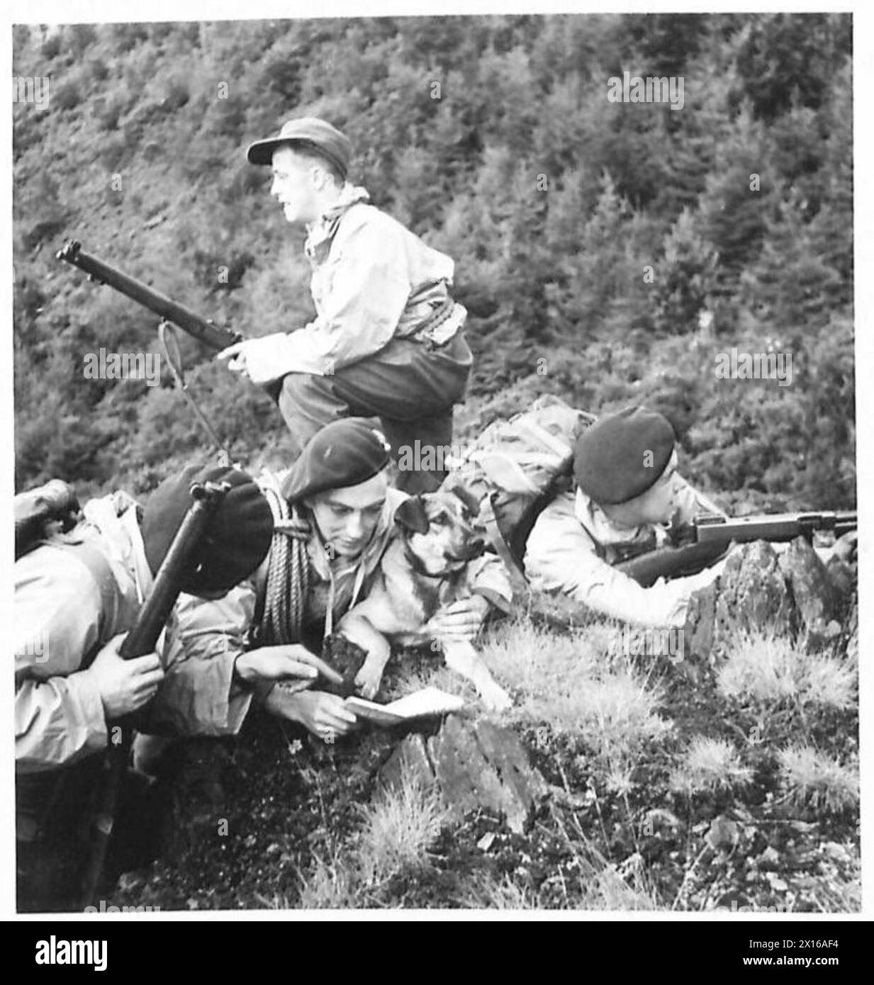 Première patrouille avec un soldat Green Devils et un chien de patrouille au sommet d'une falaise Banque D'Images