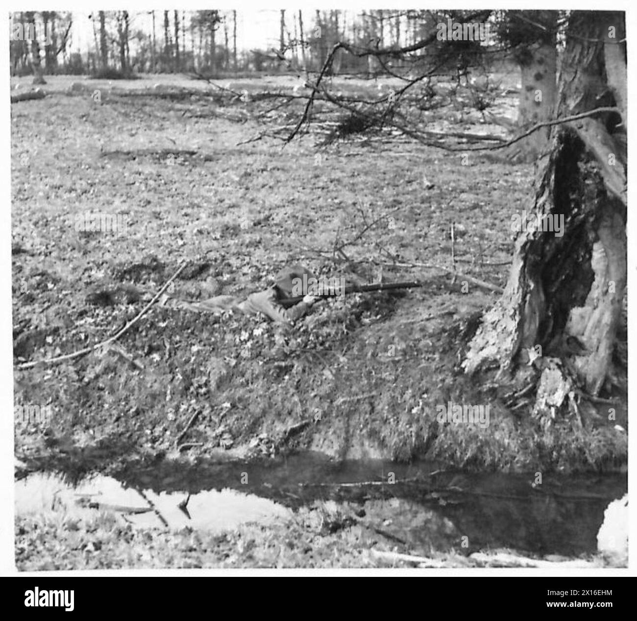 Un tireur d'élite est positionné dans une tranchée peu profonde qu'il a creusée tandis que les correspondants de guerre visitent les unités de l'armée britannique du Commandement de l'est. Banque D'Images