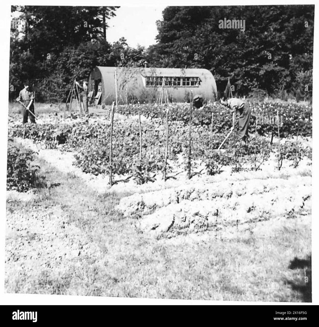 Soldats cultivant et entretenant des jardins pendant le service militaire Banque D'Images