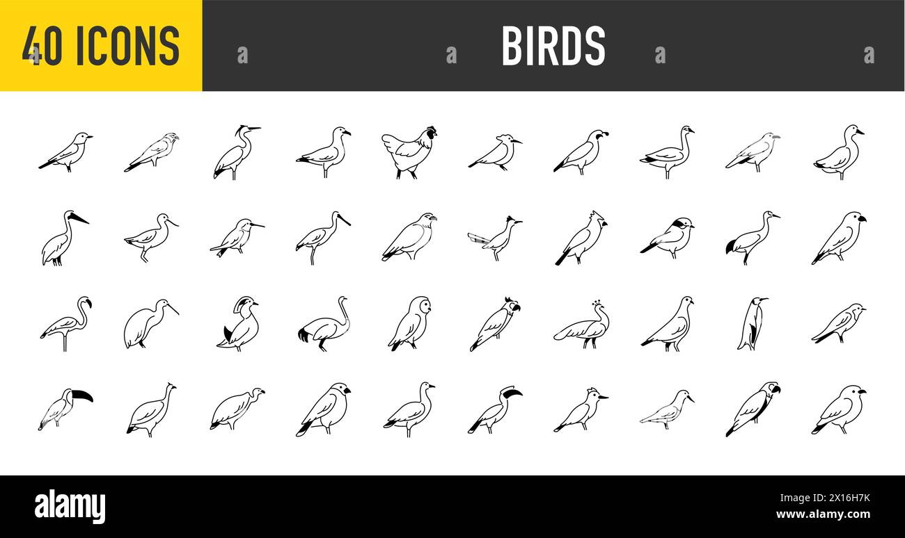 Ensemble d'icônes oiseaux. Pack d'icônes de style artistique simple. Illustration vectorielle Illustration de Vecteur
