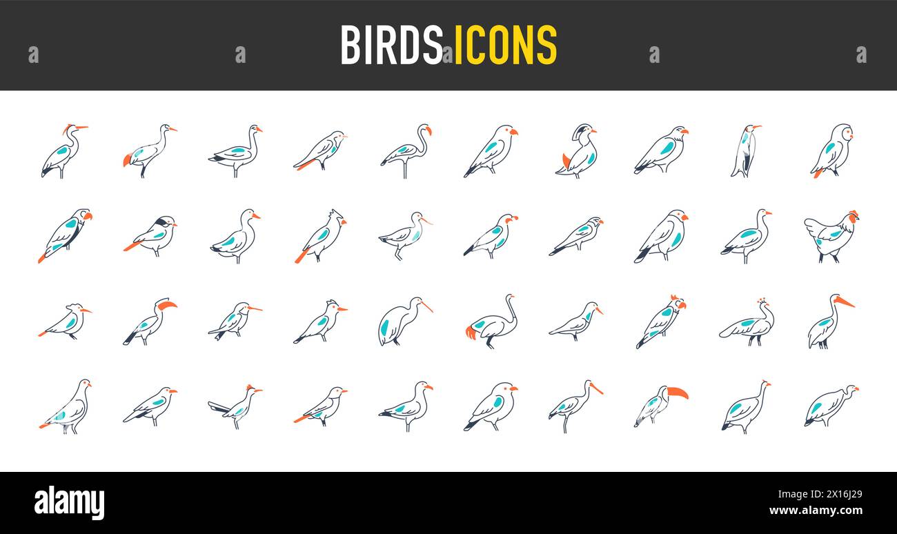 Ensemble d'icônes oiseaux. Pack d'icônes de style artistique simple. Illustration vectorielle Illustration de Vecteur