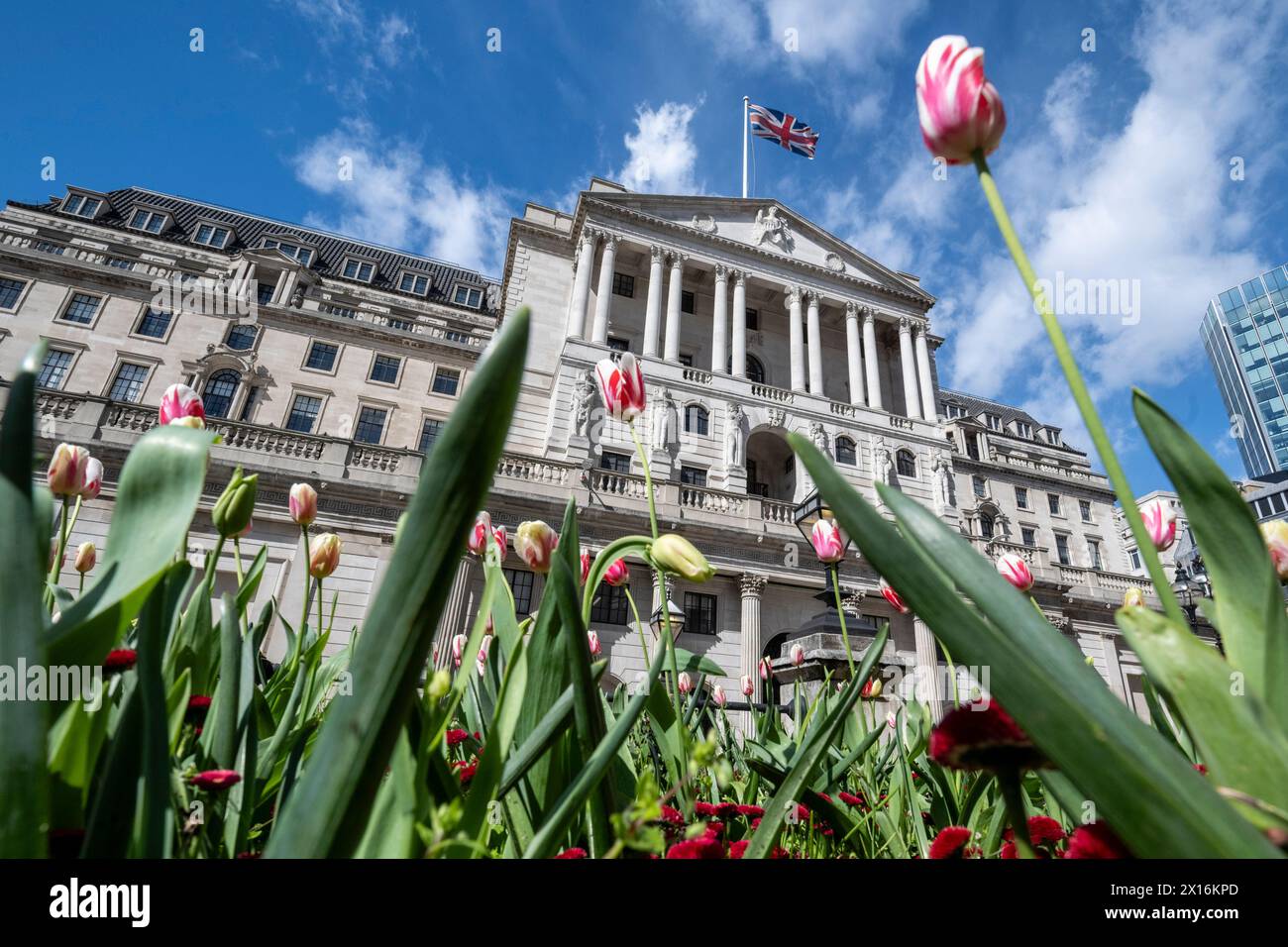 Londres, Royaume-Uni. 15 avril 2024. Tulipes en fleurs devant la Banque d'Angleterre dans la City de Londres. Un rapport de Ben Bernanke, l’ancien chef de la réserve fédérale américaine, a critiqué le récent bilan de la Banque d’Angleterre en matière de prévisions de l’inflation et de la trajectoire des taux d’intérêt, qui ont été sapés par des méthodes obsolètes, de vieux logiciels et un manque de communication claire avec le public. Credit : Stephen Chung / Alamy Live News Banque D'Images