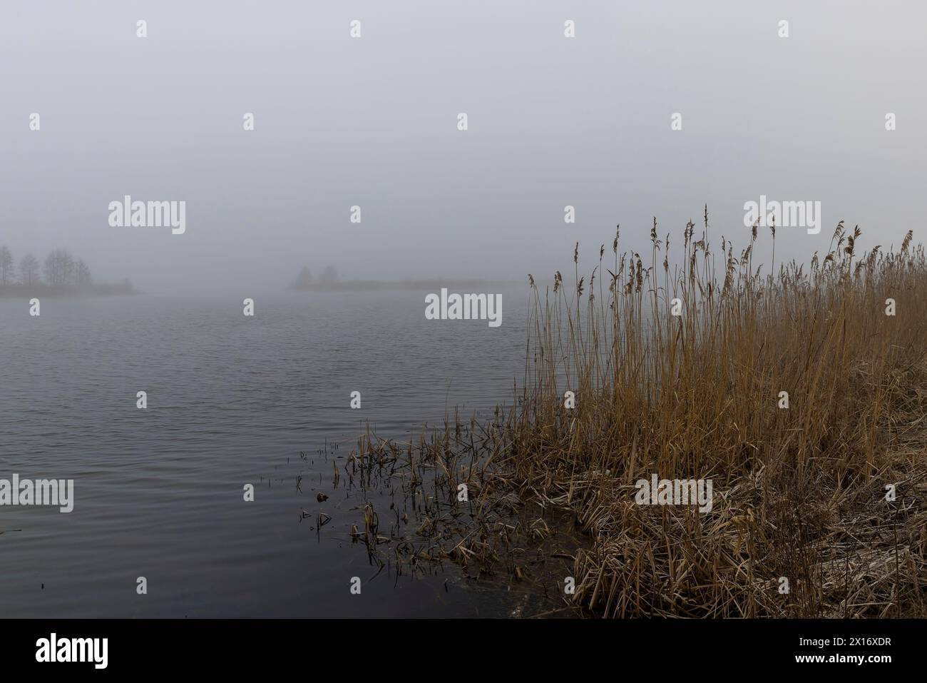 lac en hiver par temps brumeux, jour brumeux sur le lac en saison hivernale Banque D'Images