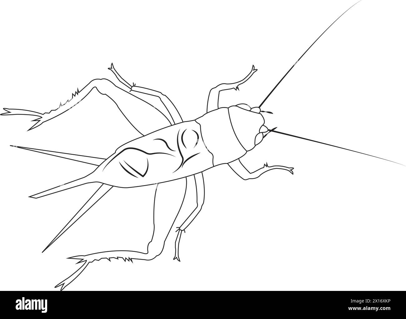 Icône de vecteur de cricket illustration conception simple Illustration de Vecteur