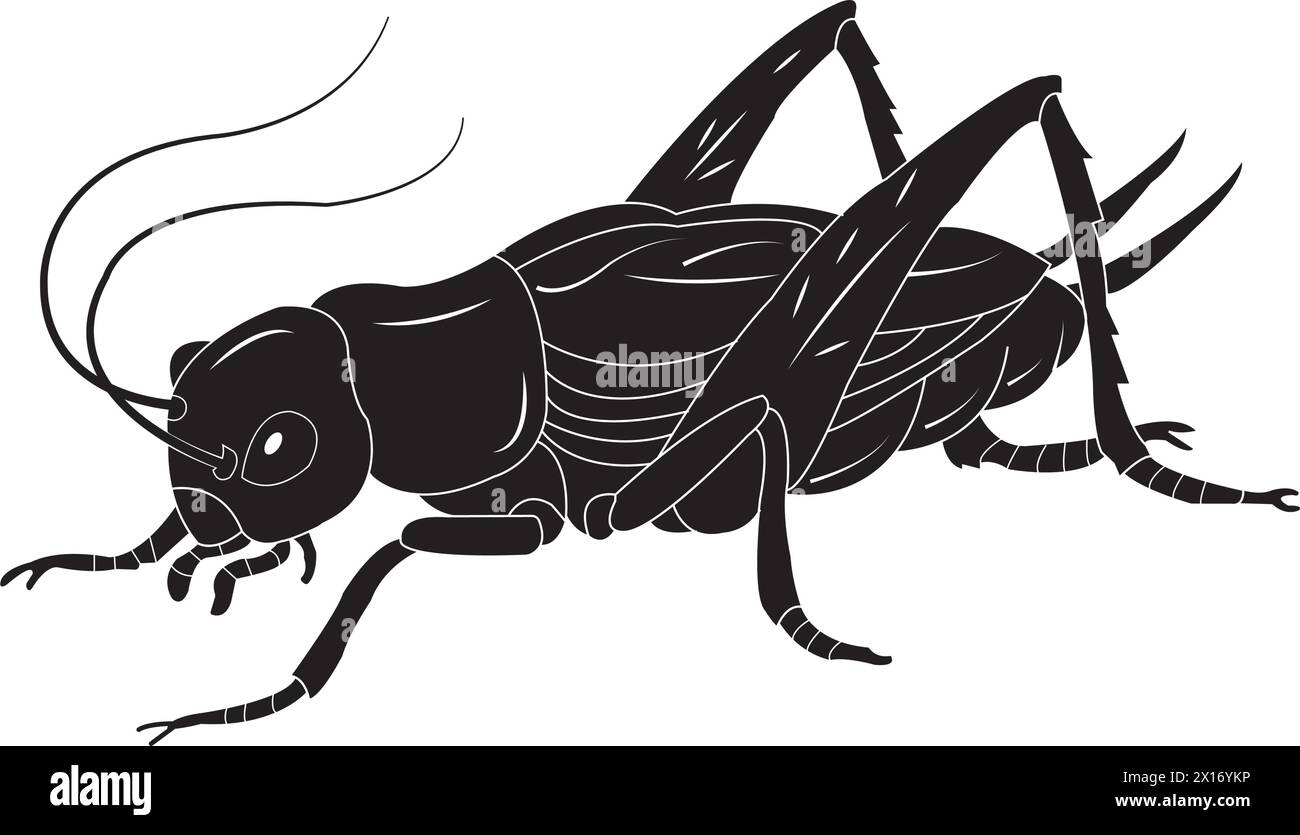 Icône de vecteur de cricket illustration conception simple Illustration de Vecteur