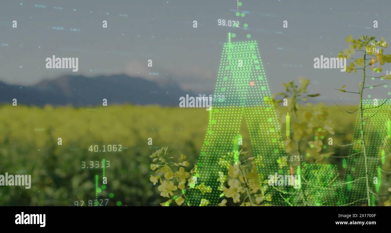 Illustration des diagrammes et du traitement des données sur le champ Banque D'Images