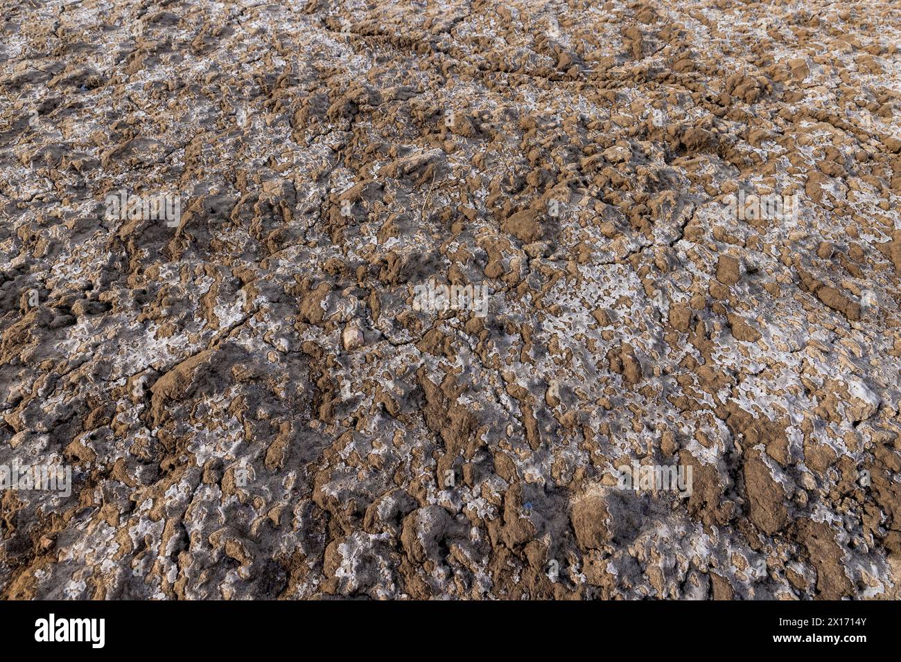 sol labouré gelé dans le champ dans les fissures, les fissures et les fractures sur le sol gelé du champ en hiver Banque D'Images