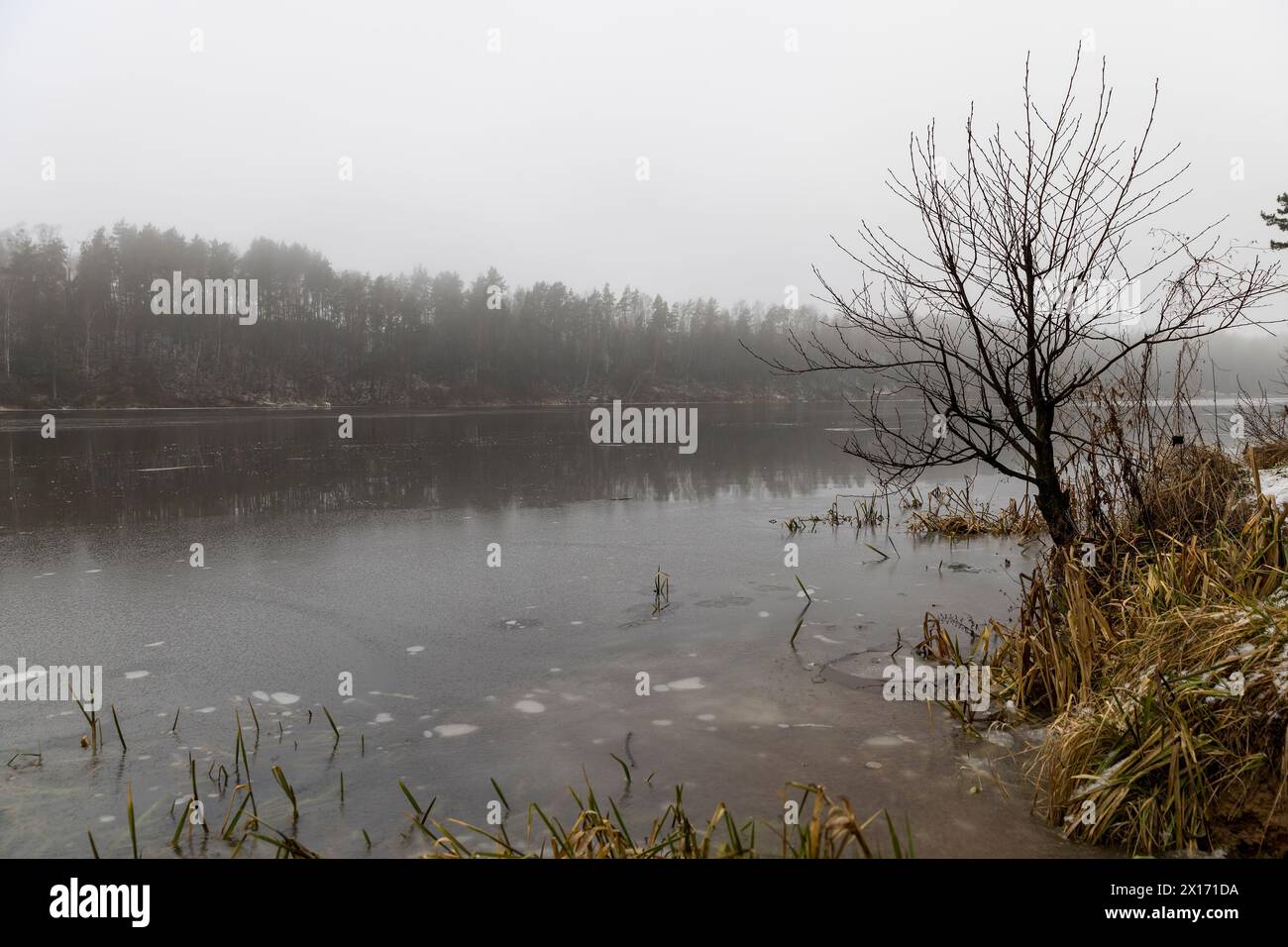 rivière en hiver, rive de rivière et eau en hiver par temps brumeux Banque D'Images