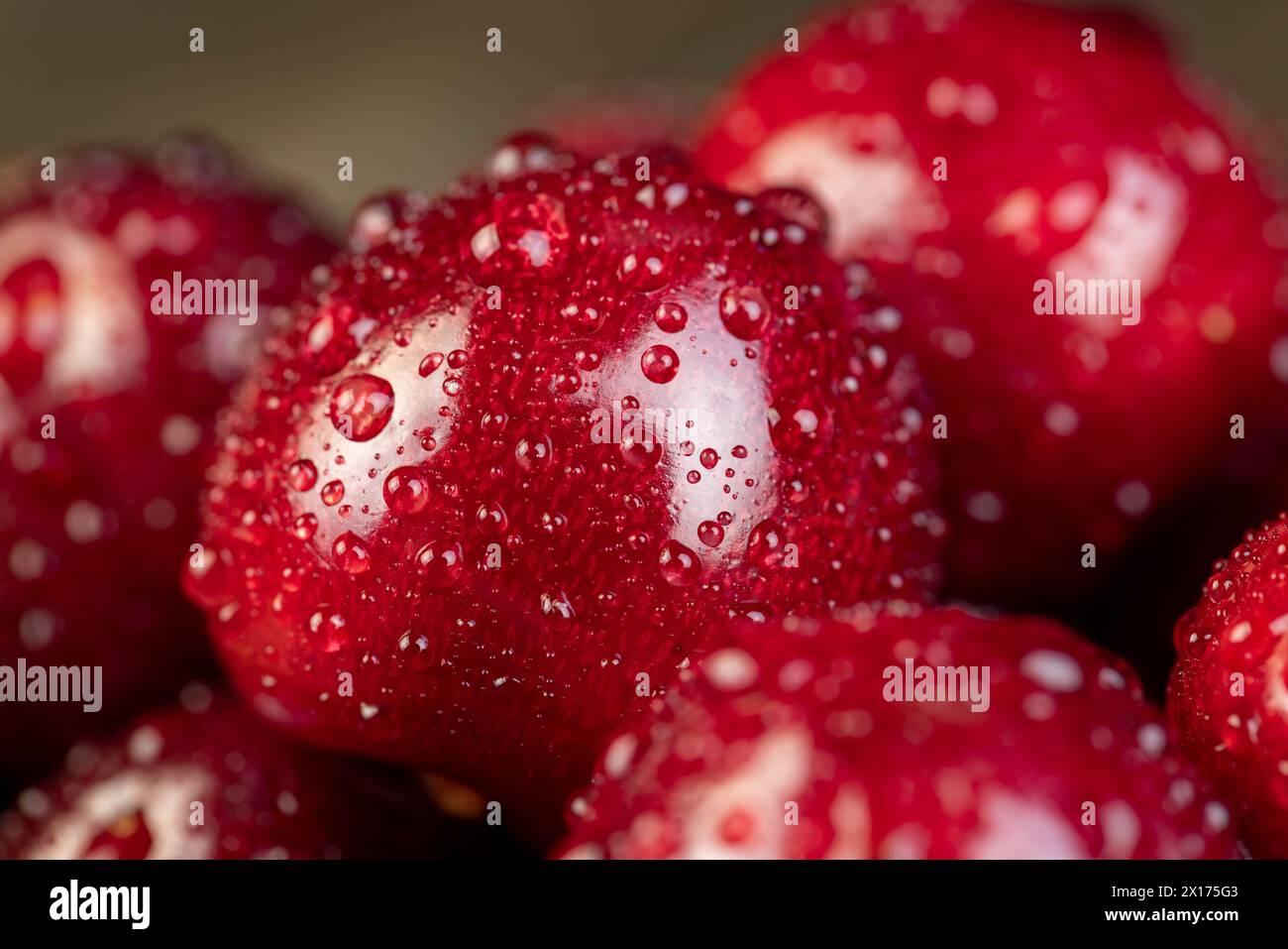 couvert de gouttes d'eau cerises rouges mûres sur la table, cerises douces dans des gouttes d'eau Banque D'Images