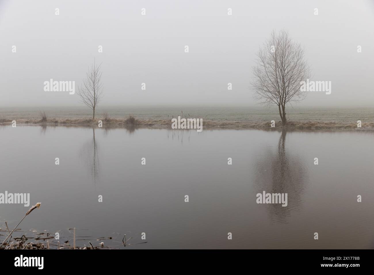 lac en hiver par temps brumeux, jour brumeux sur le lac en saison hivernale Banque D'Images