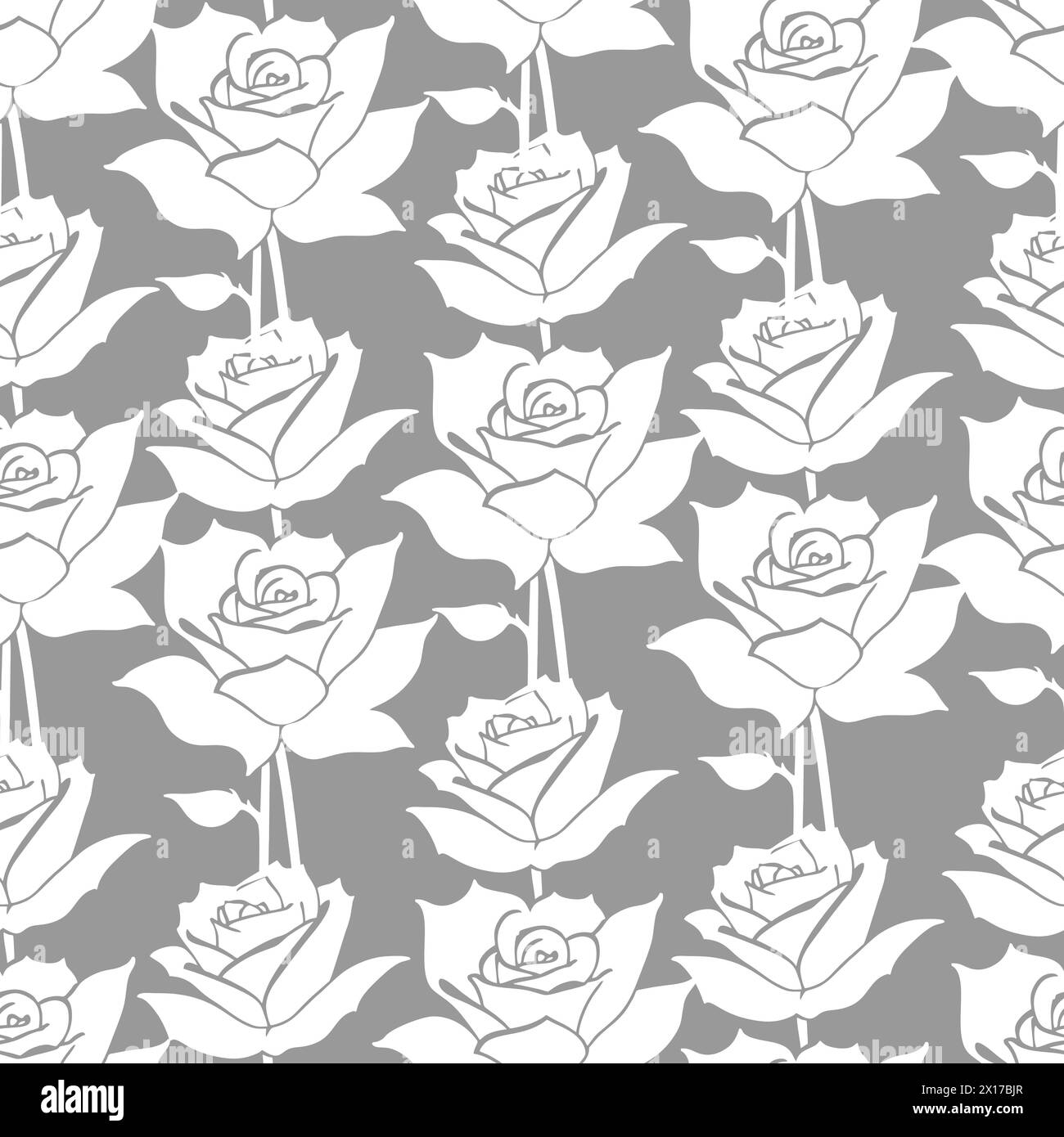 motif floral sans couture roses blanches sur fond gris, texture, design Banque D'Images