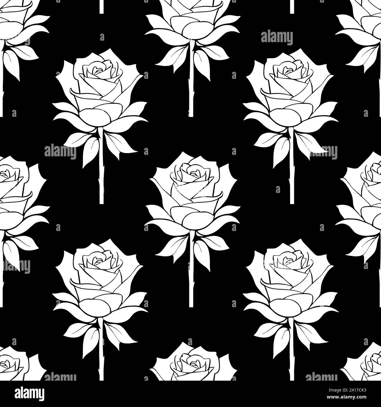 motif floral sans couture roses blanches sur un fond noir, texture, design Banque D'Images