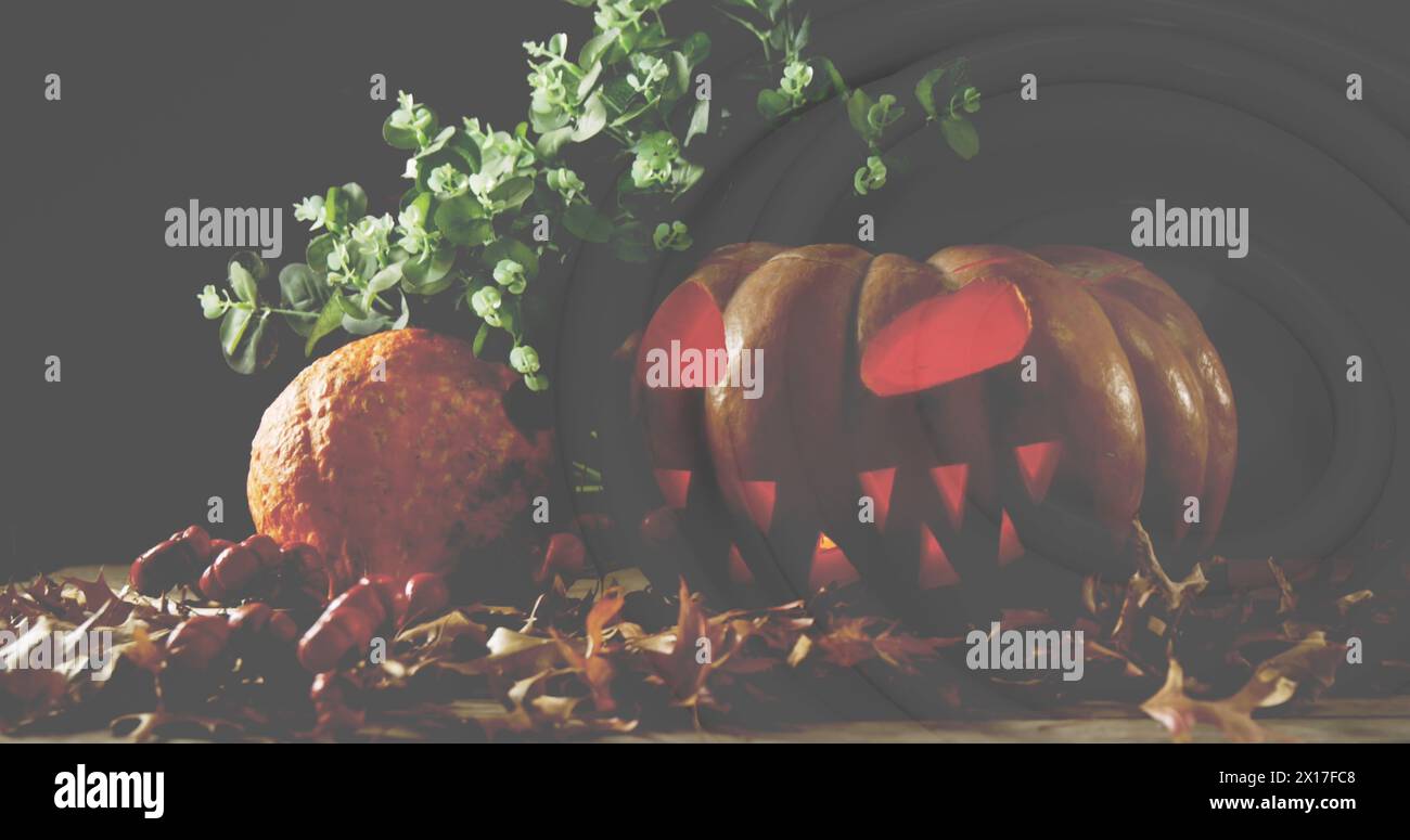 Image de citrouille d'halloween incandescente, avec des feuilles de plante et d'automne, sur fond noir Banque D'Images