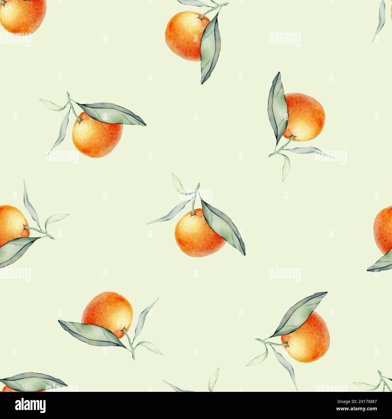 Aquarelle sans couture agrumes et motif de feuilles. Feuilles vertes et fruits oranges sur fond blanc. Illustration sans couture de mandarine ou mandarine Banque D'Images