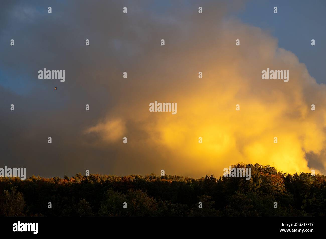 Grand nuage jaune dans le ciel dans le soleil du soir au-dessus d'une forêt verte Banque D'Images